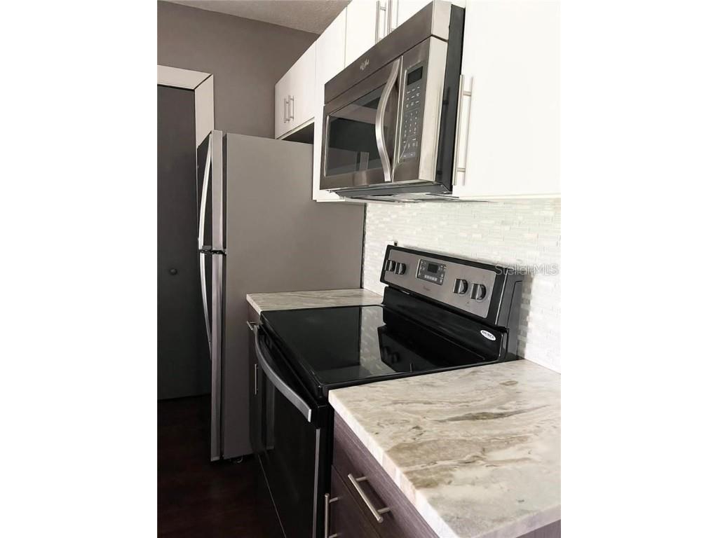 4348 S Kirkman Road #806 Orlando FL 32811 S5138843 image6