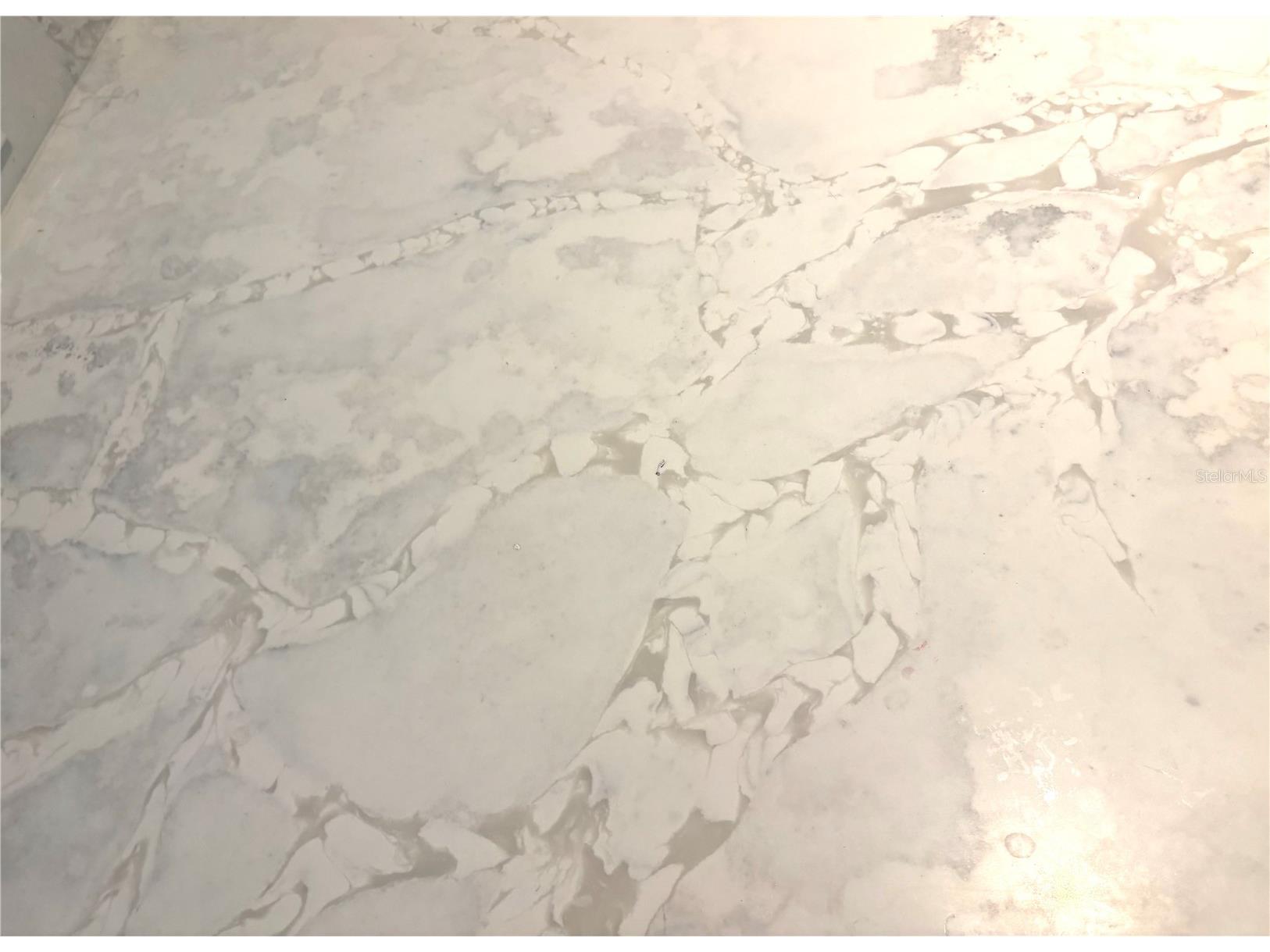 4349 S Culver Terrace Inverness FL 34452 TB8442585 image19