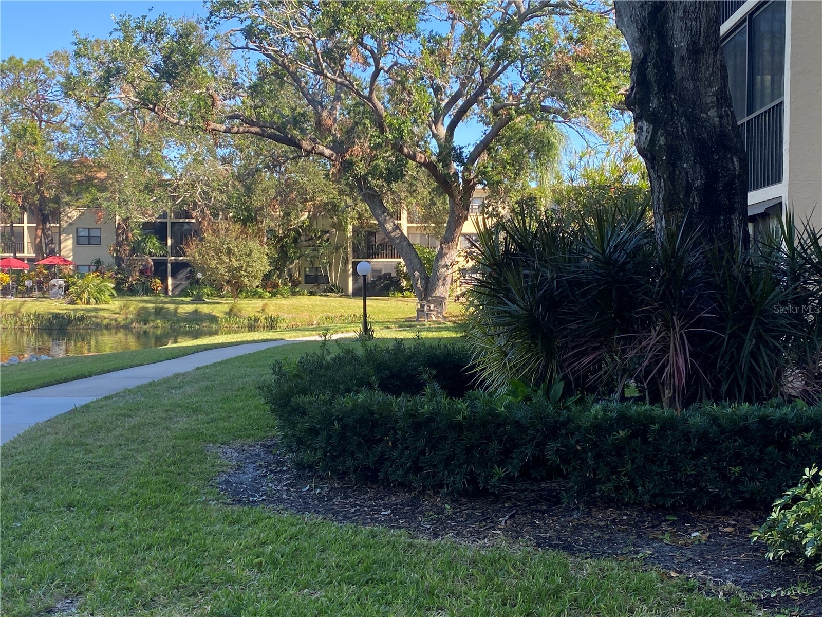 435 30th Avenue W #D103 Bradenton FL 34205 A4689936 image35