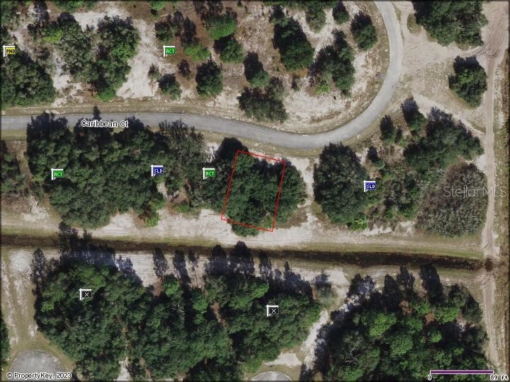 435 Caribbean Court Poinciana FL 34759 O6161362 image1