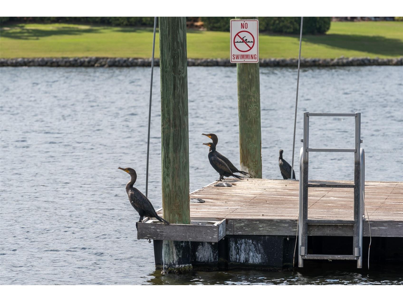 435 Islebay Drive Apollo Beach FL 33572 TB8491956 image85