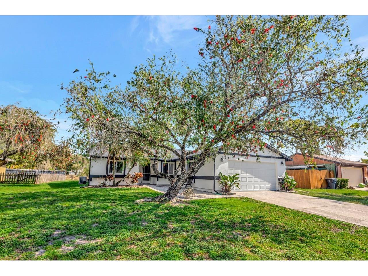 435 Lakeview Drive Oldsmar FL 34677 TB8489554 image3