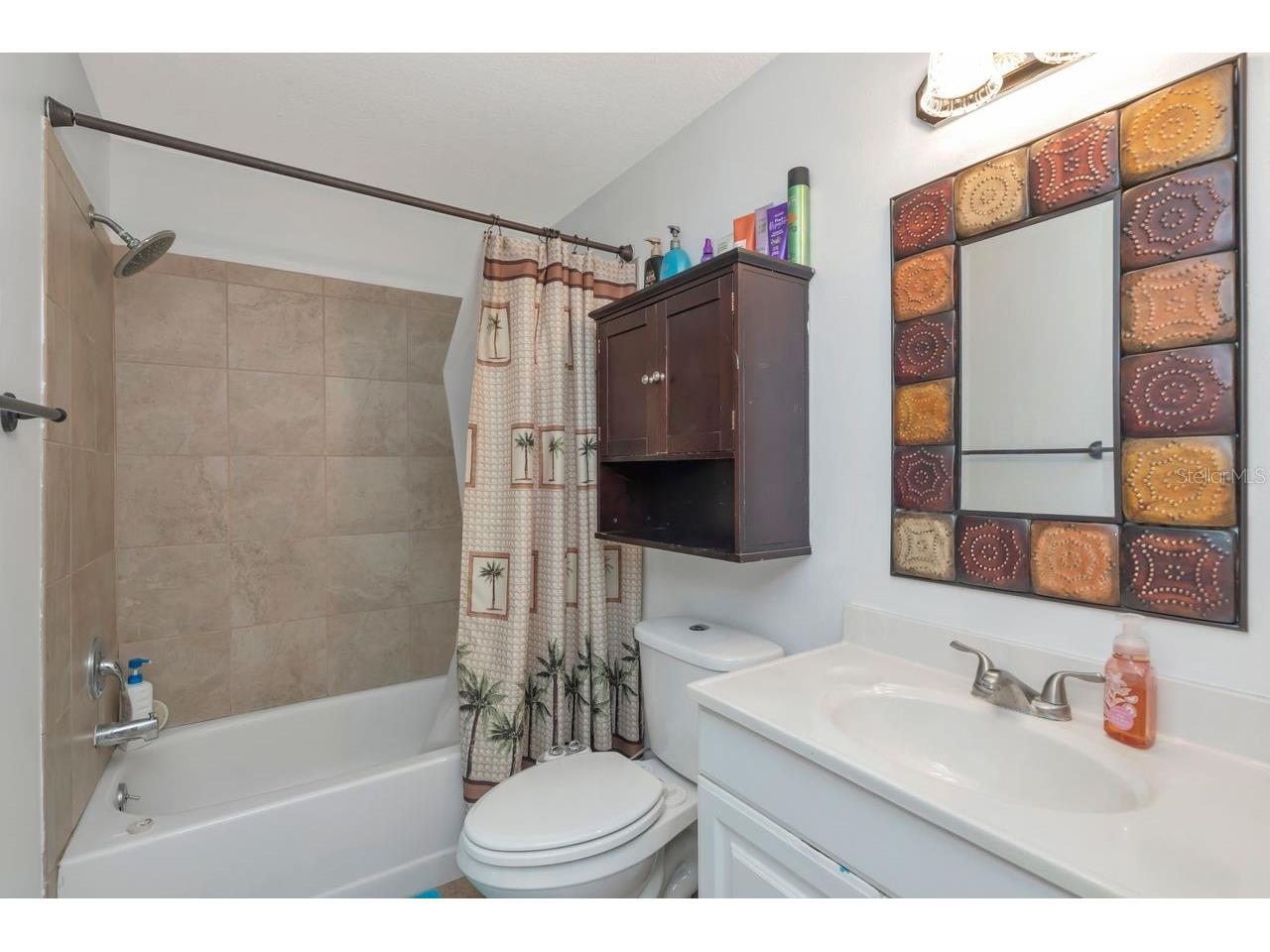 435 Lakeview Drive Oldsmar FL 34677 TB8489554 image30