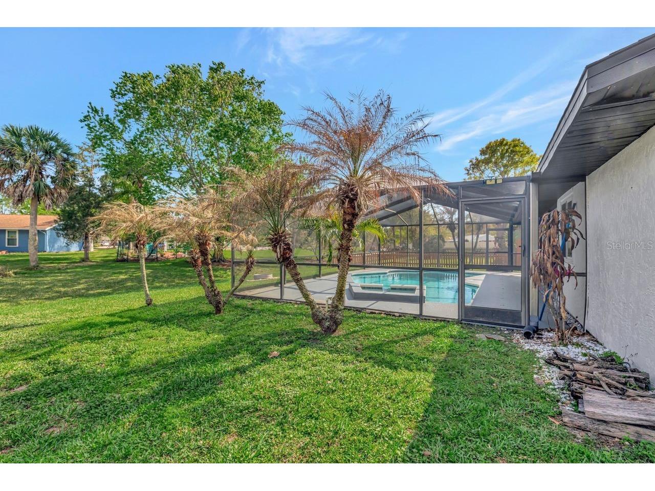 435 Lakeview Drive Oldsmar FL 34677 TB8489554 image37