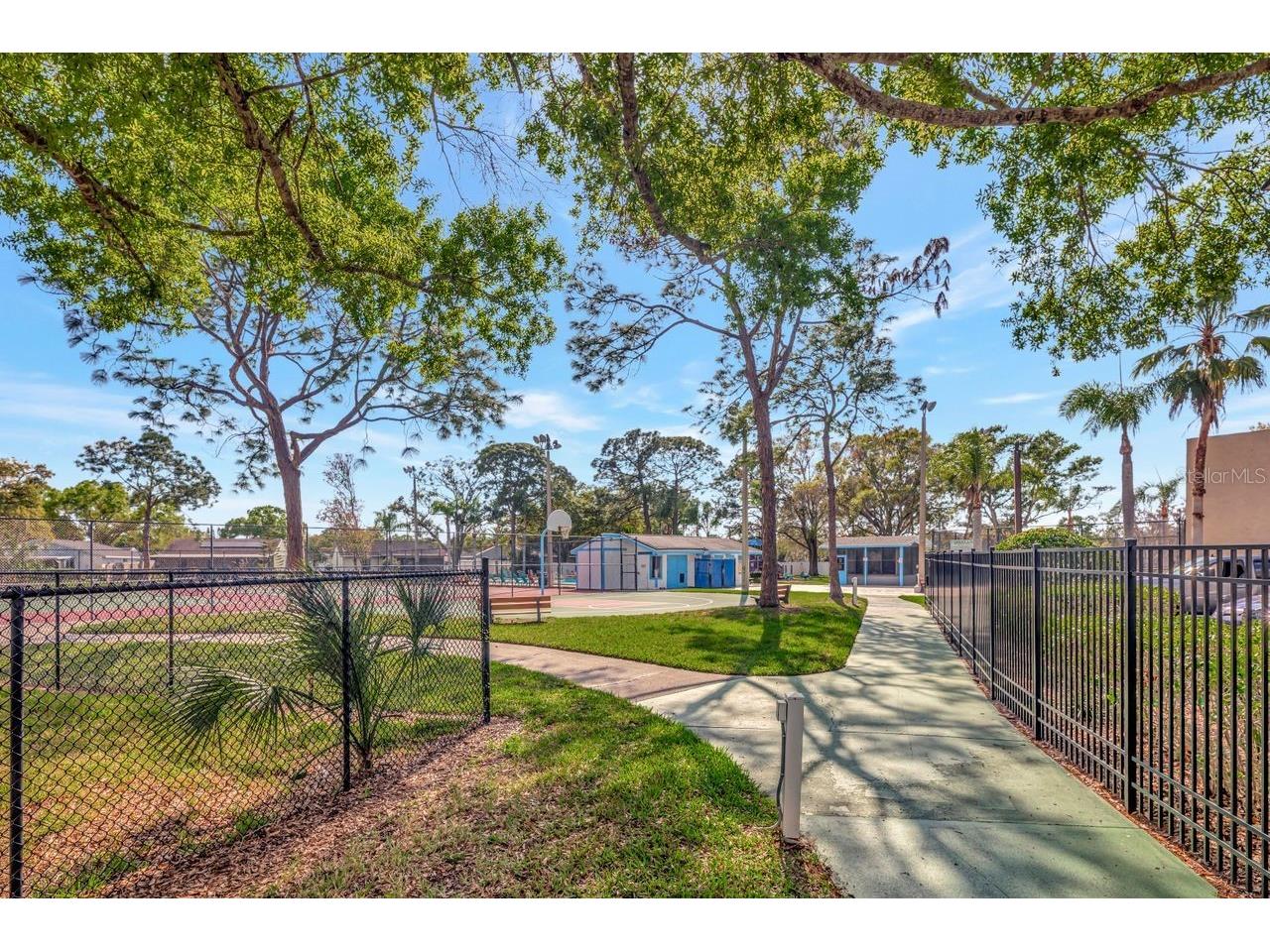 435 Lakeview Drive Oldsmar FL 34677 TB8489554 image43
