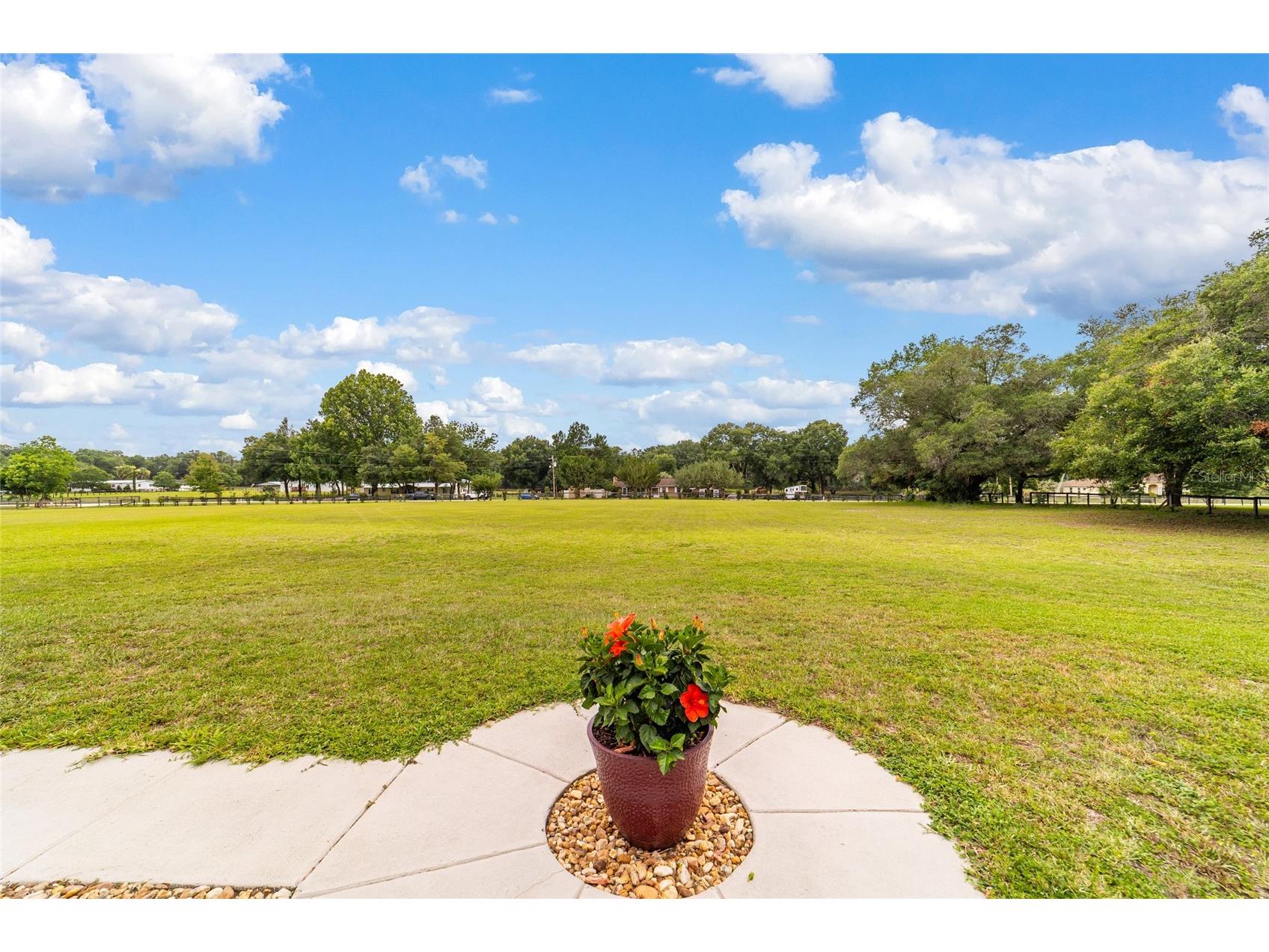 435 NE 155th Street Road Citra FL 32113 OM726276 image24