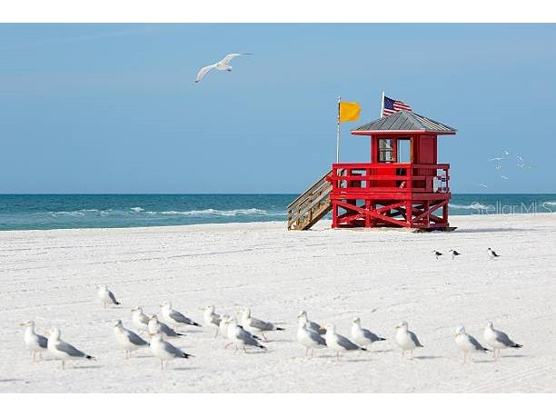 435 S Gulfstream Avenue #1006 Sarasota FL 34236 A4671034 image28