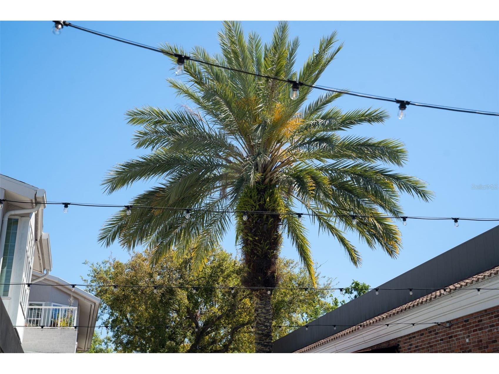 435 S Oregon Avenue #305 Tampa FL 33606 TB8478993 image68