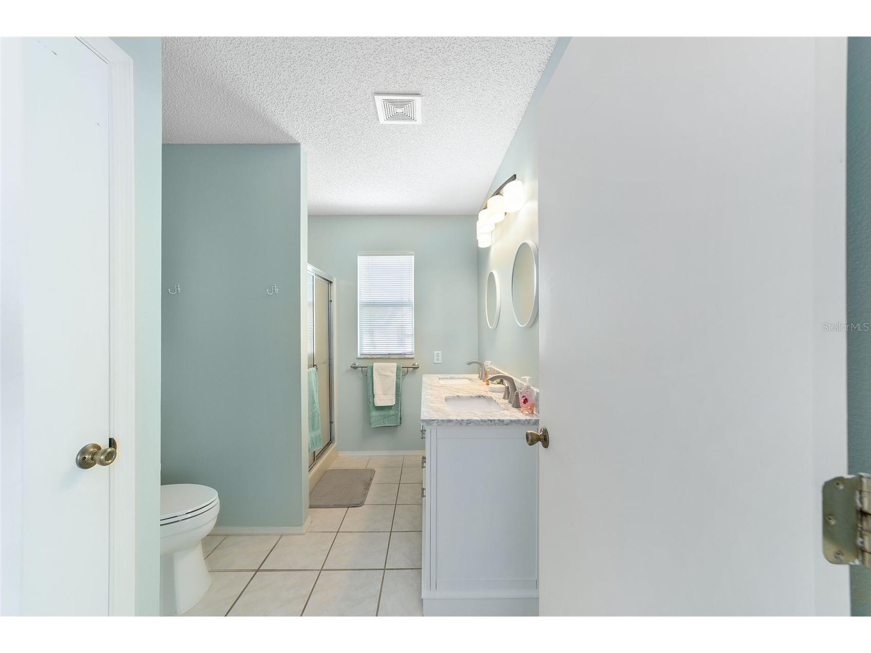435 Santa Clara Circle The Villages FL 32159 OM722535 image27