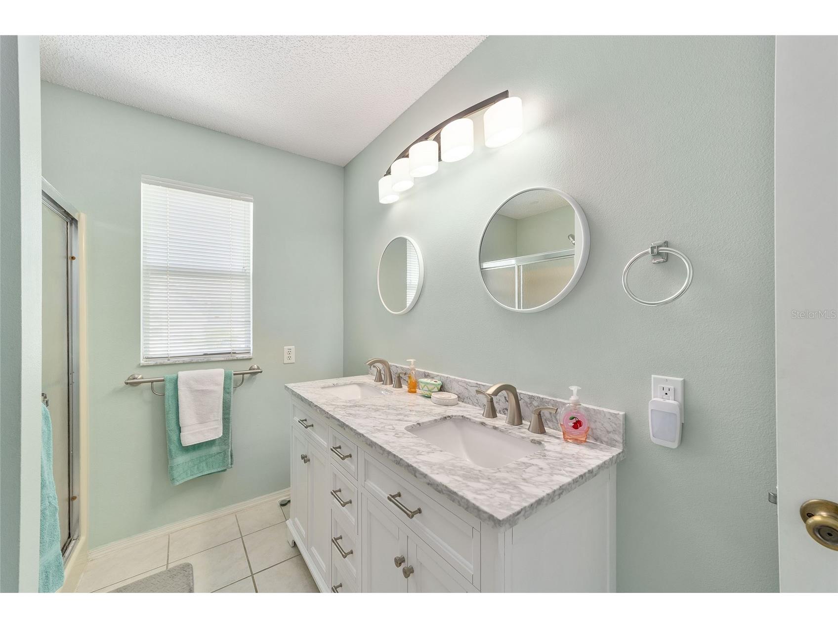 435 Santa Clara Circle The Villages FL 32159 OM722535 image28