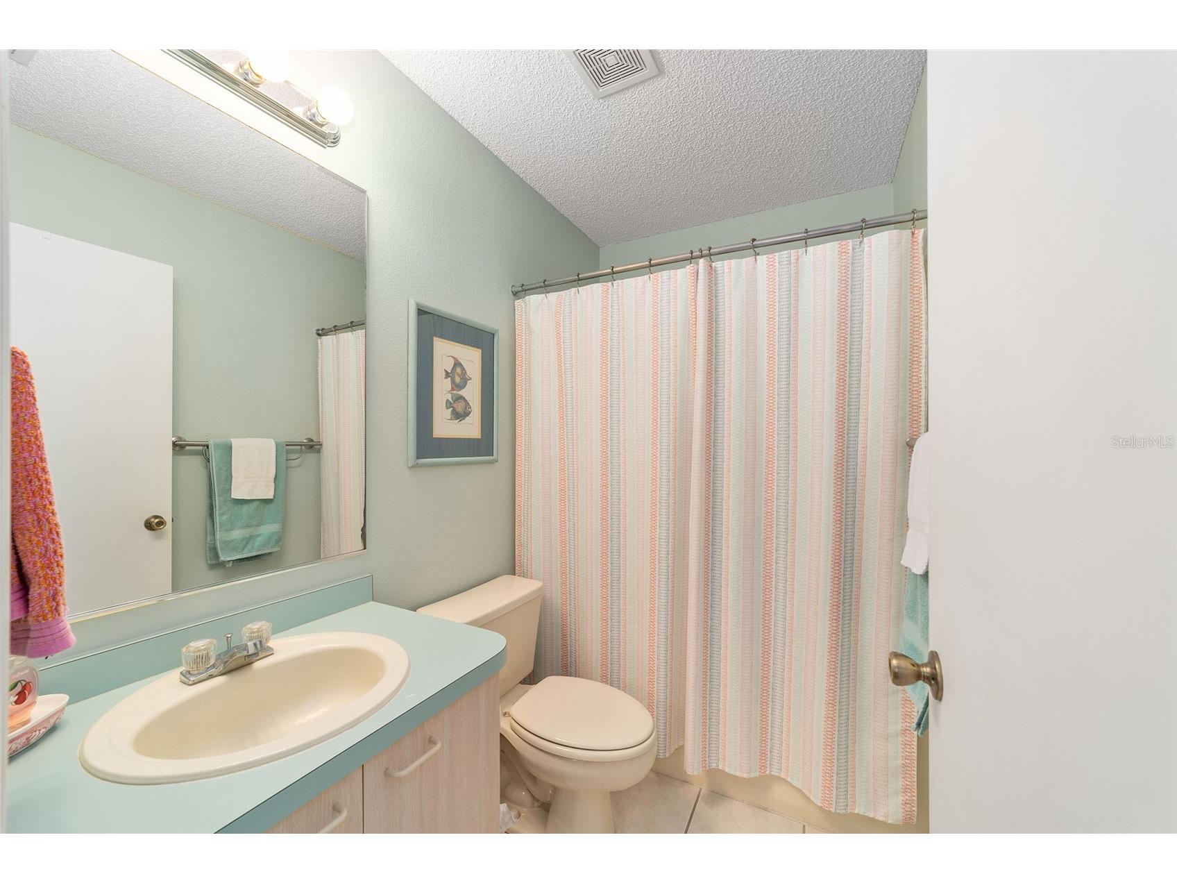 435 Santa Clara Circle The Villages FL 32159 OM722535 image32