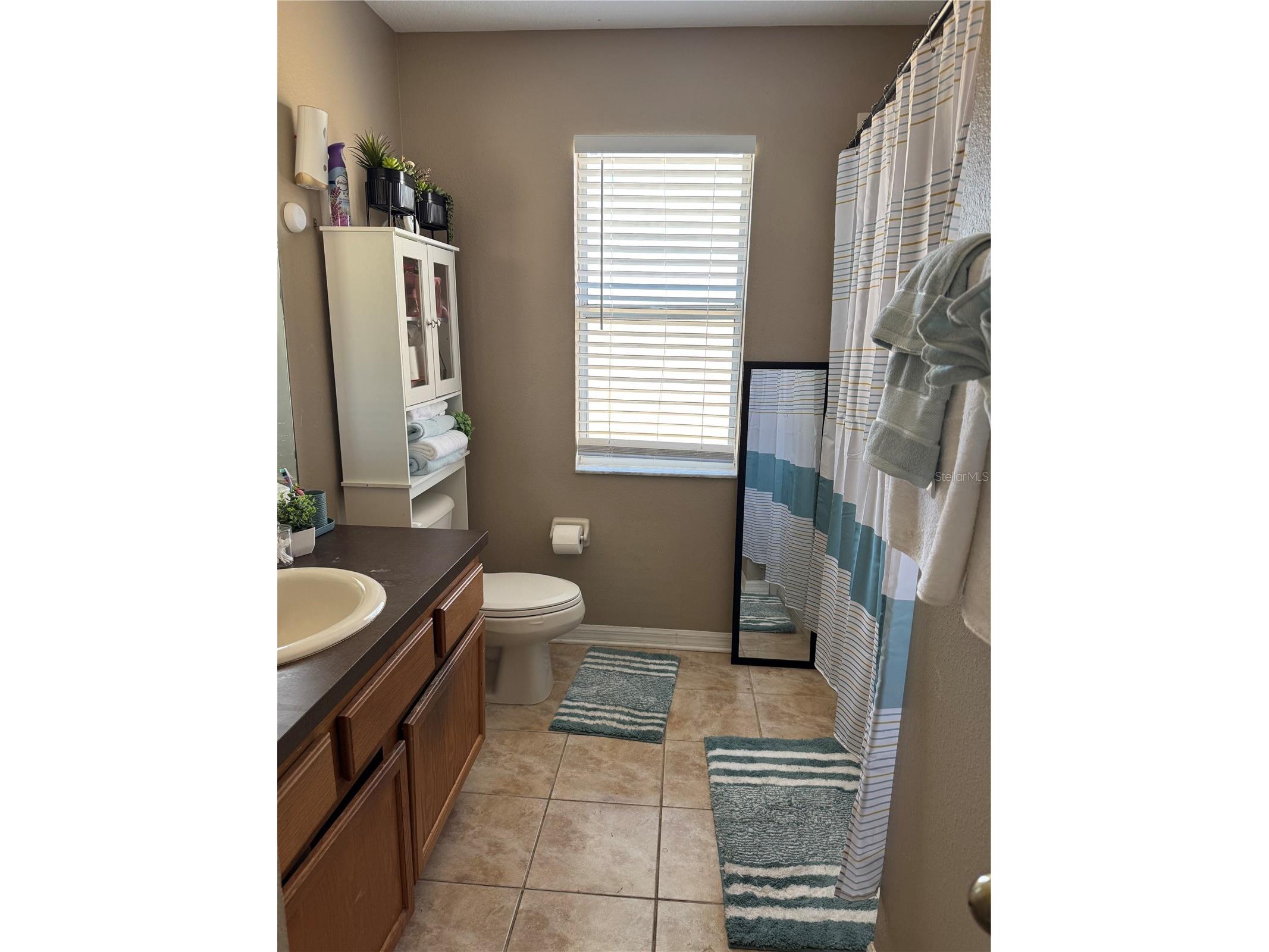 435 Stone Briar Drive Ruskin FL 33570 TB8488550 image16