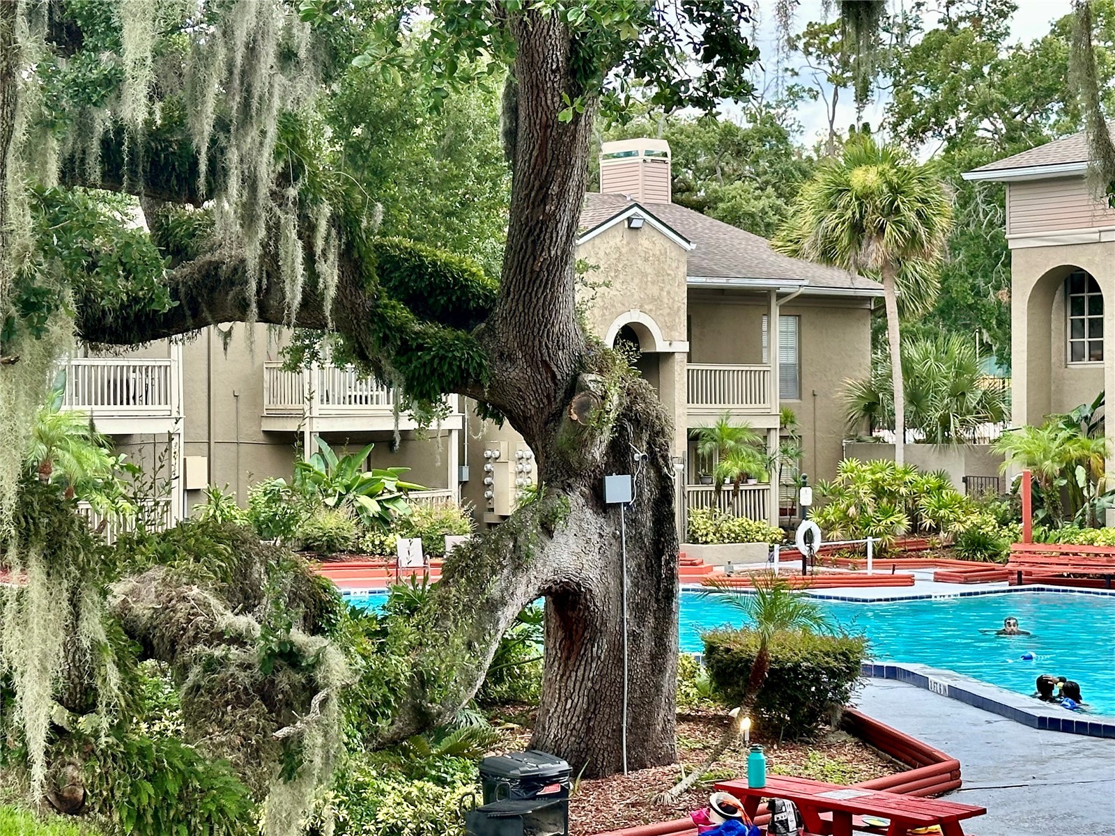 435 Wymore Road #207 Altamonte Springs FL 32714 O6410068 image14