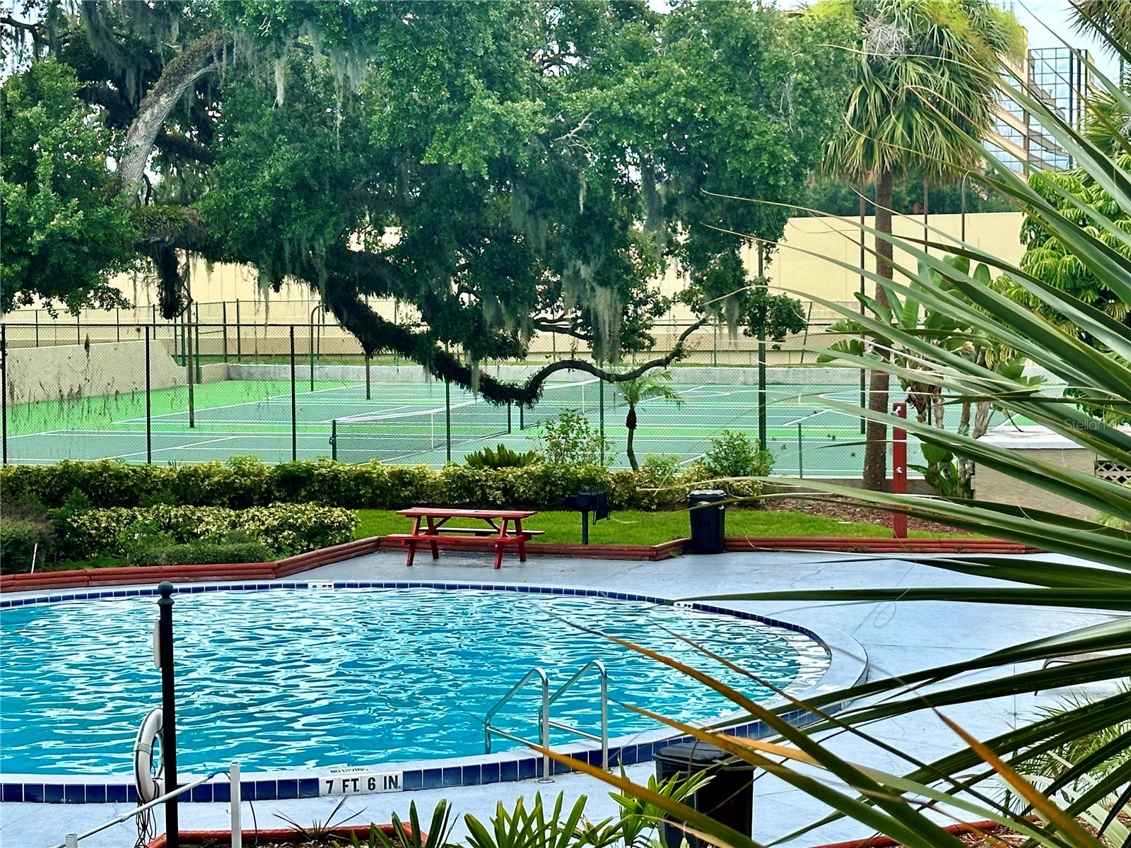 435 Wymore Road #207 Altamonte Springs FL 32714 O6410068 image15