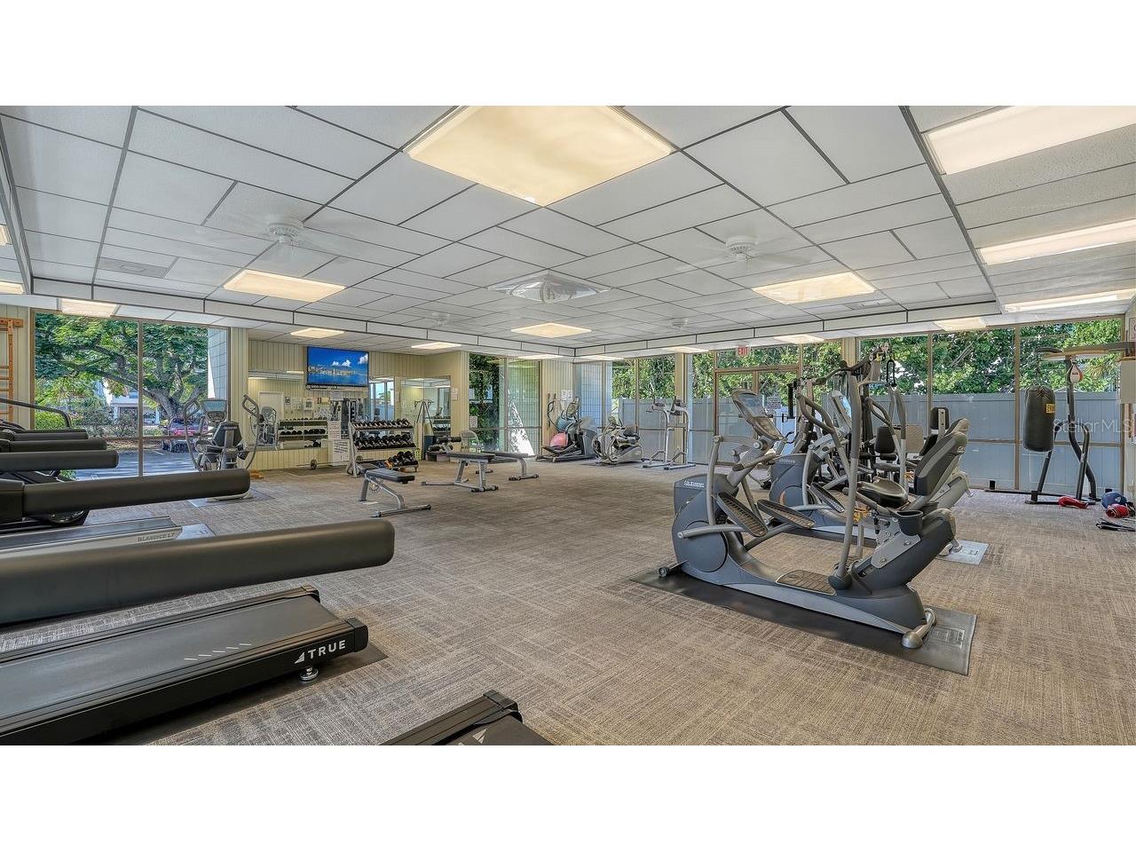 4350 Chatham Drive #UNIT E-208 Longboat Key FL 34228 A4672221 image64