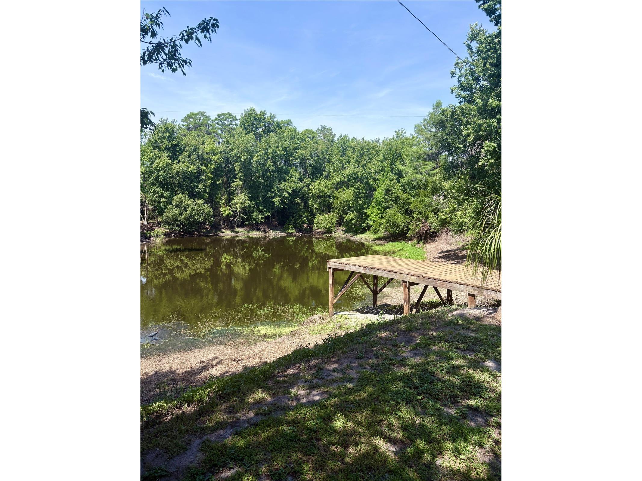 4350 Fanny Bass Road Saint Cloud FL 34772 S5148911 image3