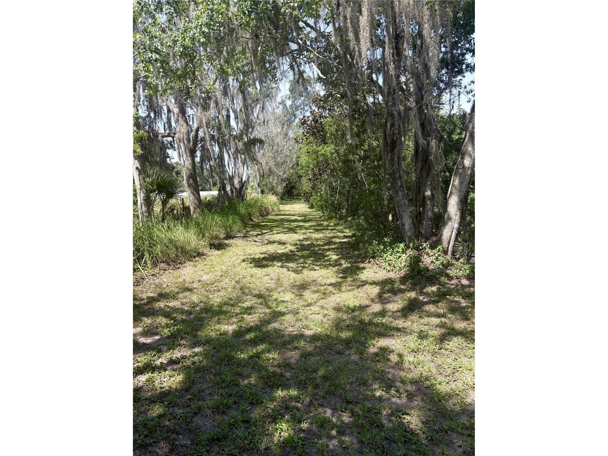 4350 Fanny Bass Road Saint Cloud FL 34772 S5148911 image42