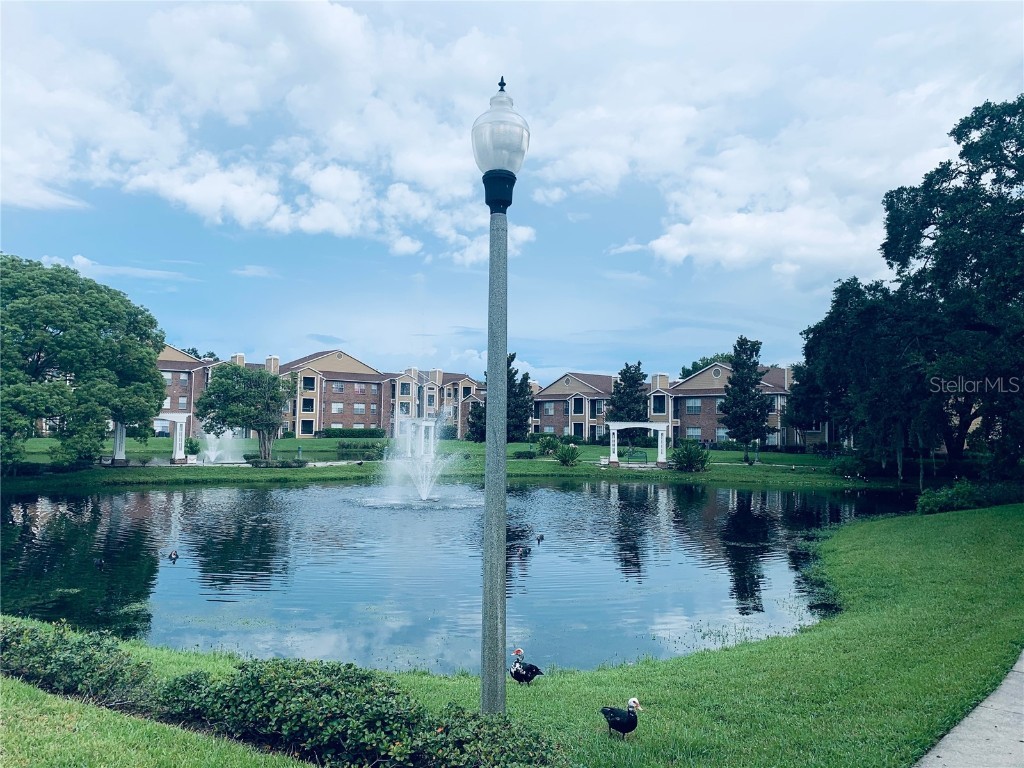 4350 Perkinshire Lane #104 Orlando FL 32822 O6349864 image19