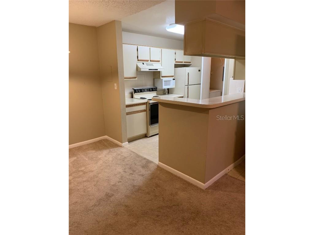 4350 Perkinshire Lane #104 Orlando FL 32822 O6349864 image6