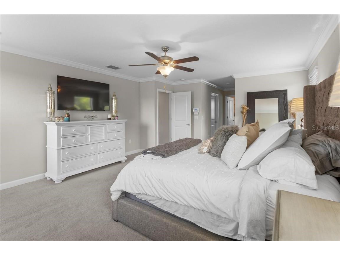 4350 Shrewbury Place Land O Lakes FL 34638 TB8451328 image27