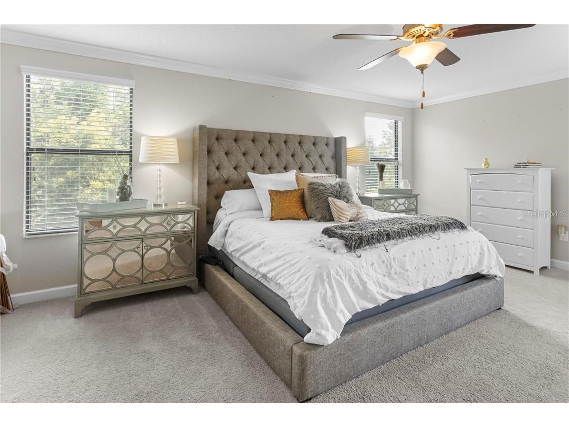 4350 Shrewbury Place Land O Lakes FL 34638 TB8451328 image28