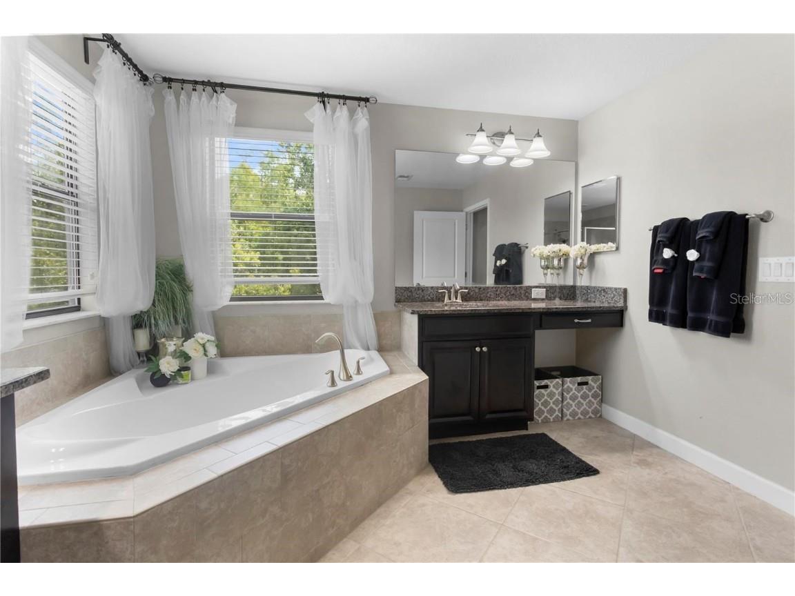 4350 Shrewbury Place Land O Lakes FL 34638 TB8451328 image29