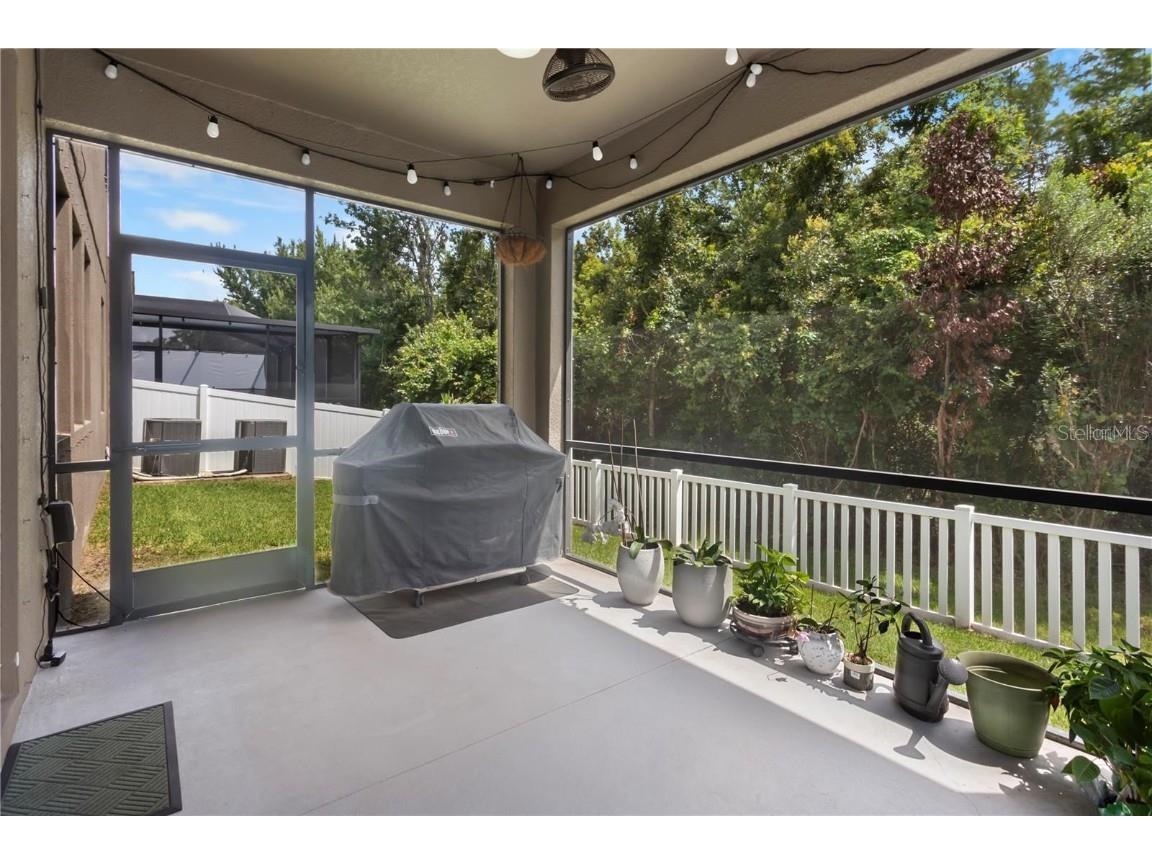 4350 Shrewbury Place Land O Lakes FL 34638 TB8451328 image43