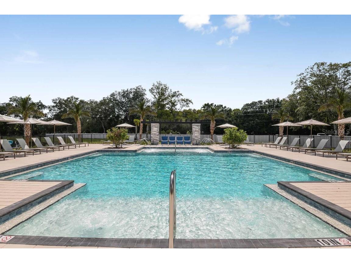 4351 Cloud Hopper Way Lutz FL 33559 TB8318374 image23