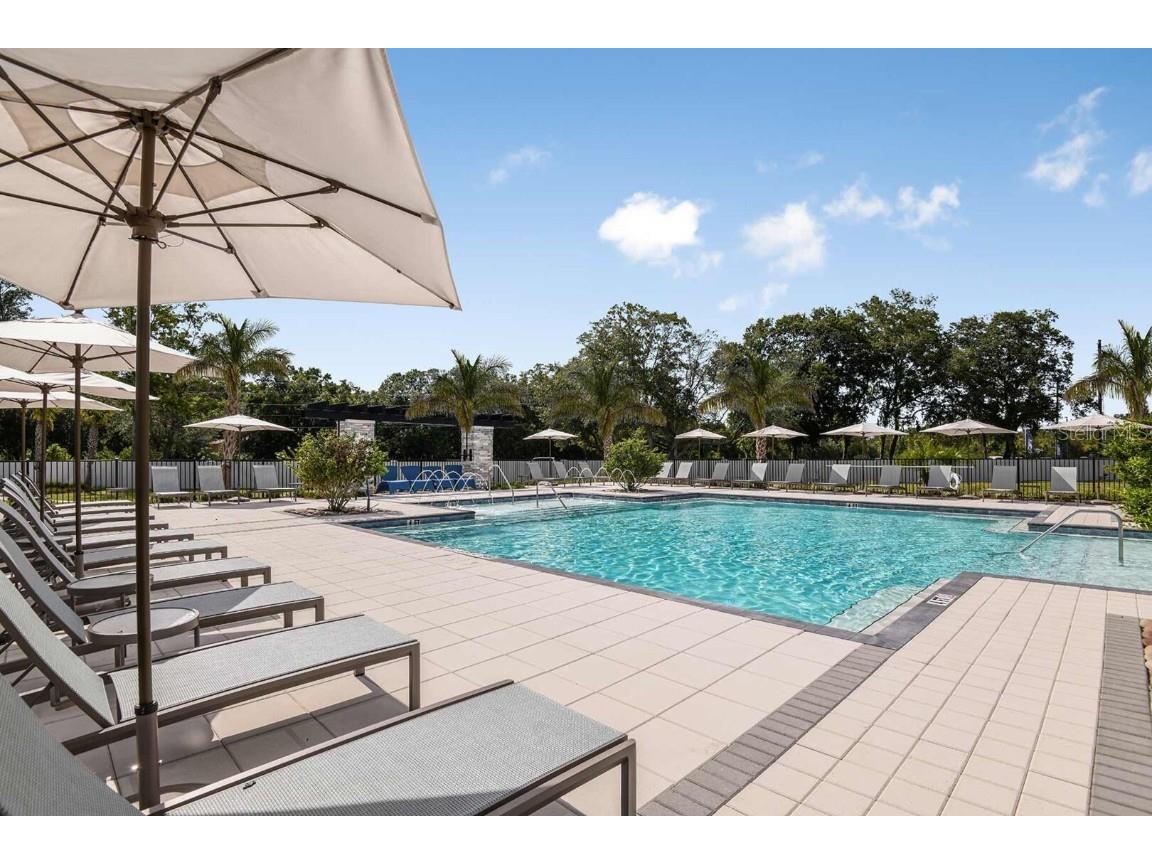 4351 Cloud Hopper Way Lutz FL 33559 TB8318374 image24