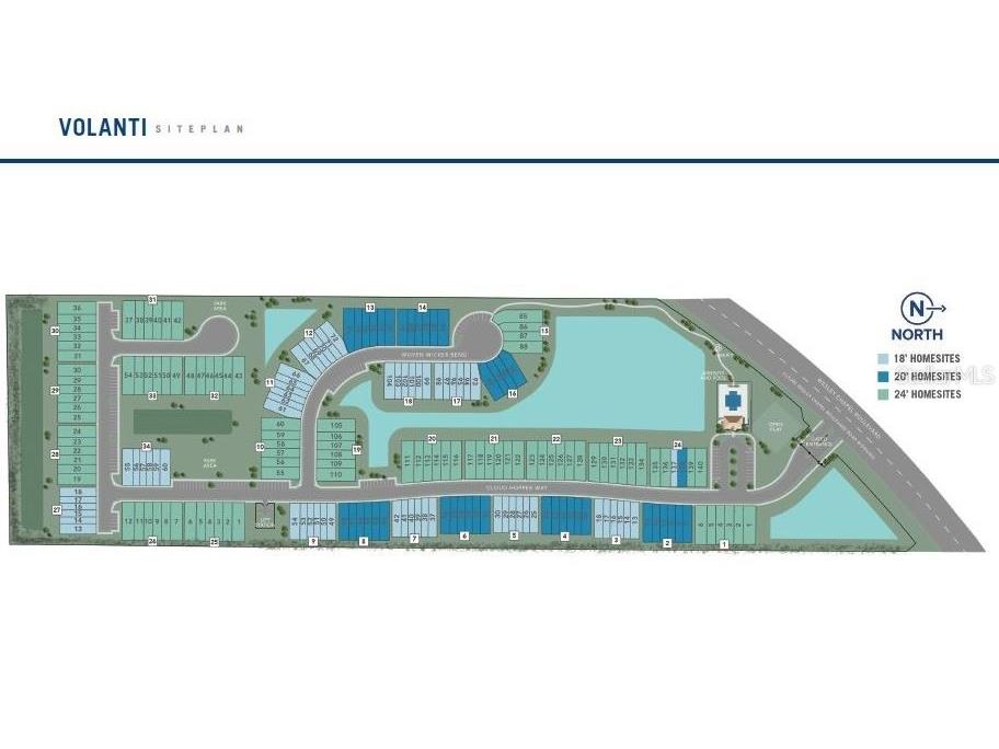 4351 Cloud Hopper Way Lutz FL 33559 TB8318374 image25