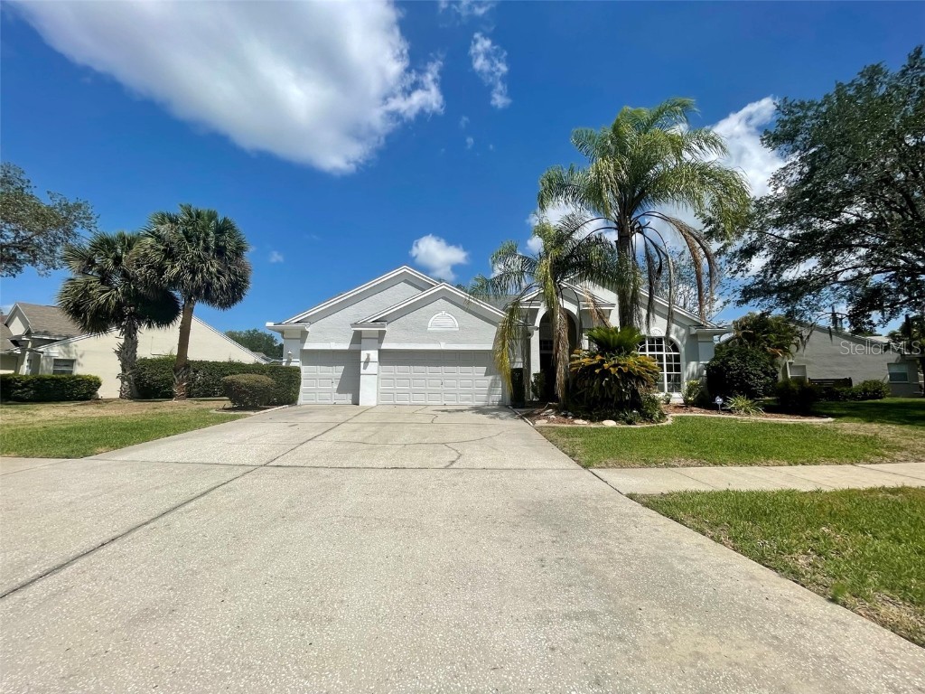 4351 Ellinwood Boulevard Palm Harbor FL 34685 T3444066 image1