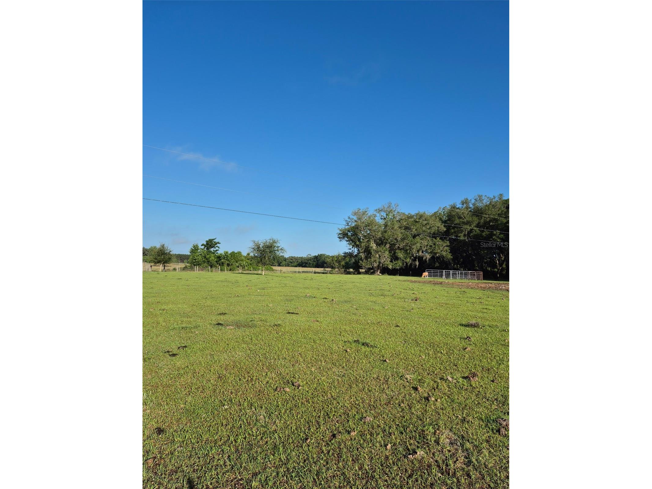 4351 NW 76th Court Chiefland FL 32626 GC538479 image10