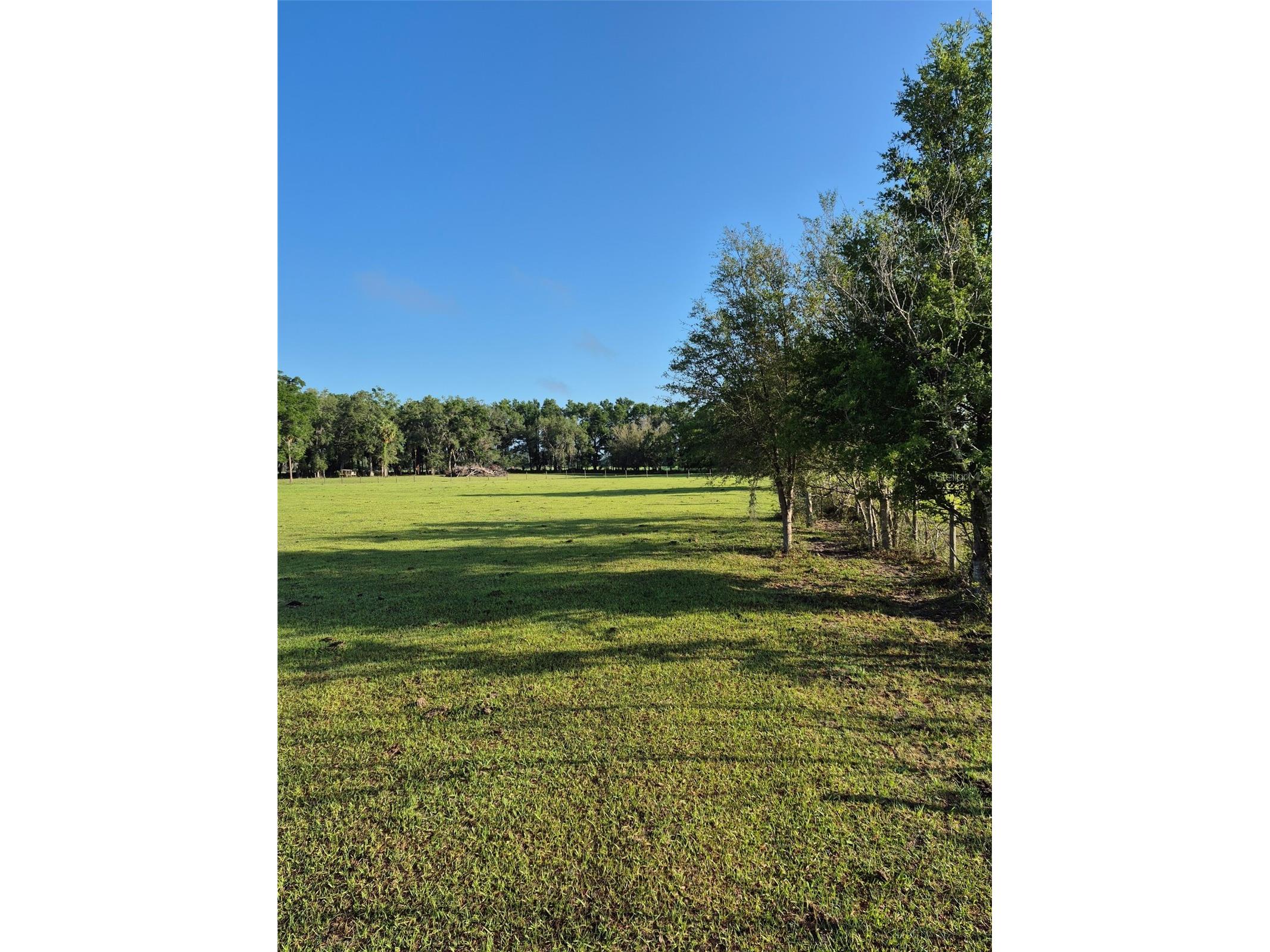 4351 NW 76th Court Chiefland FL 32626 GC538479 image11