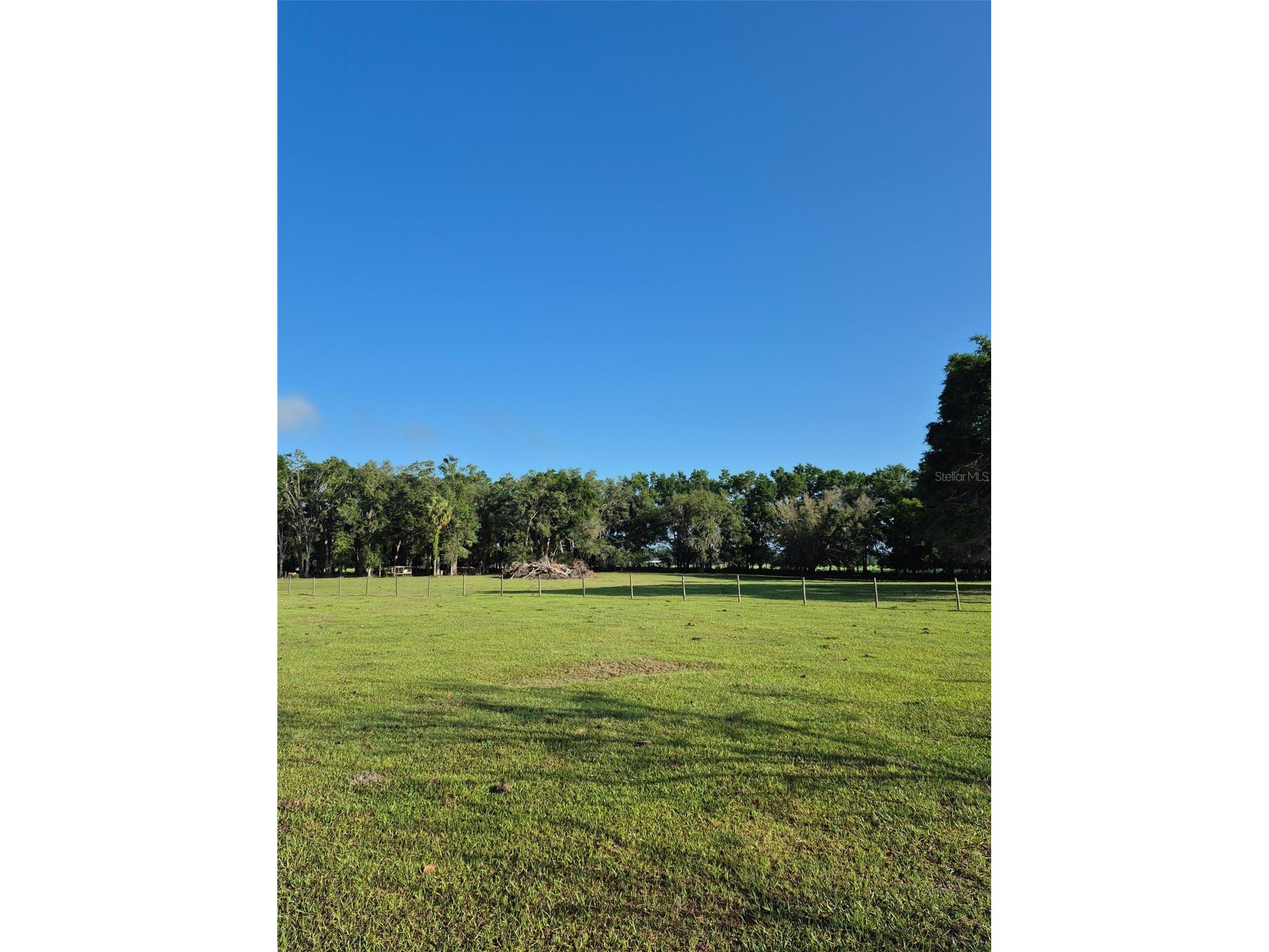 4351 NW 76th Court Chiefland FL 32626 GC538479 image12