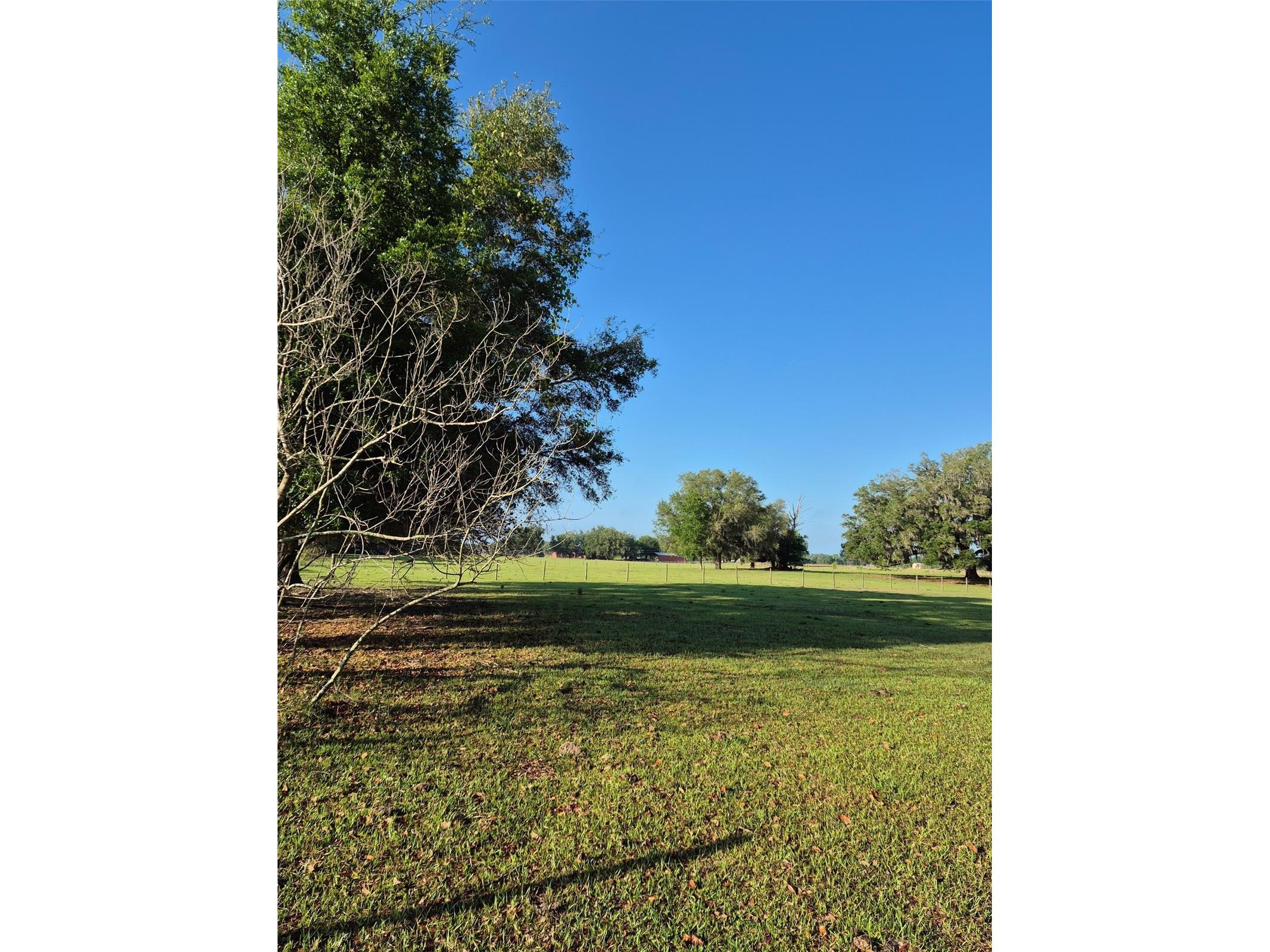 4351 NW 76th Court Chiefland FL 32626 GC538479 image14