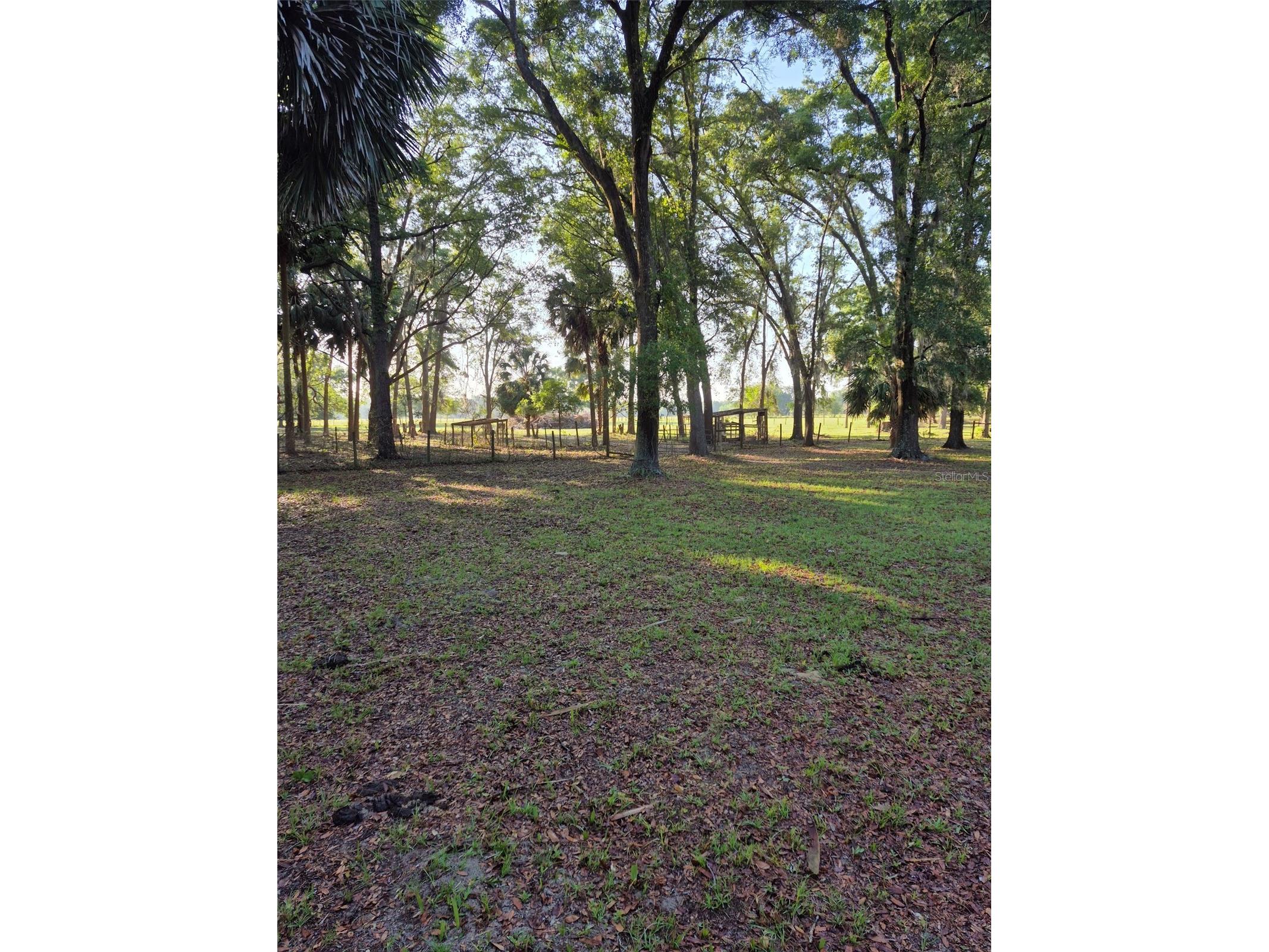 4351 NW 76th Court Chiefland FL 32626 GC538479 image16