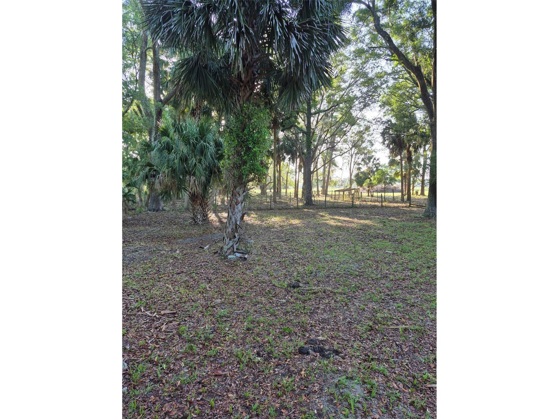 4351 NW 76th Court Chiefland FL 32626 GC538479 image17