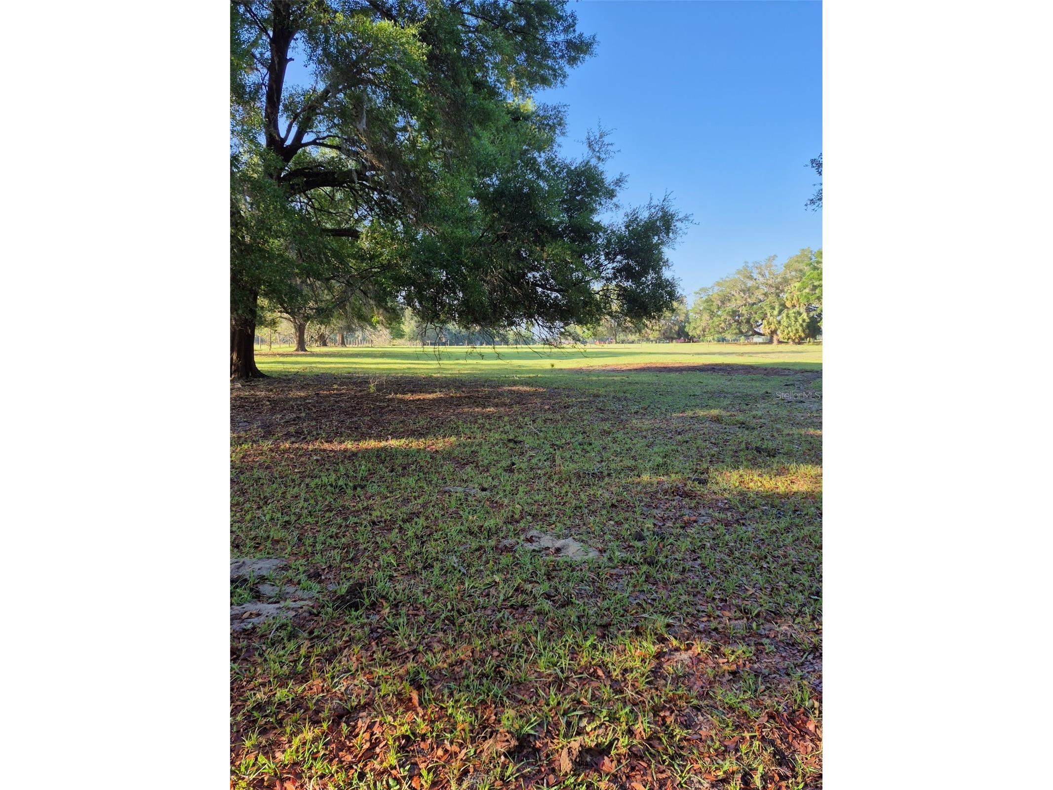 4351 NW 76th Court Chiefland FL 32626 GC538479 image18