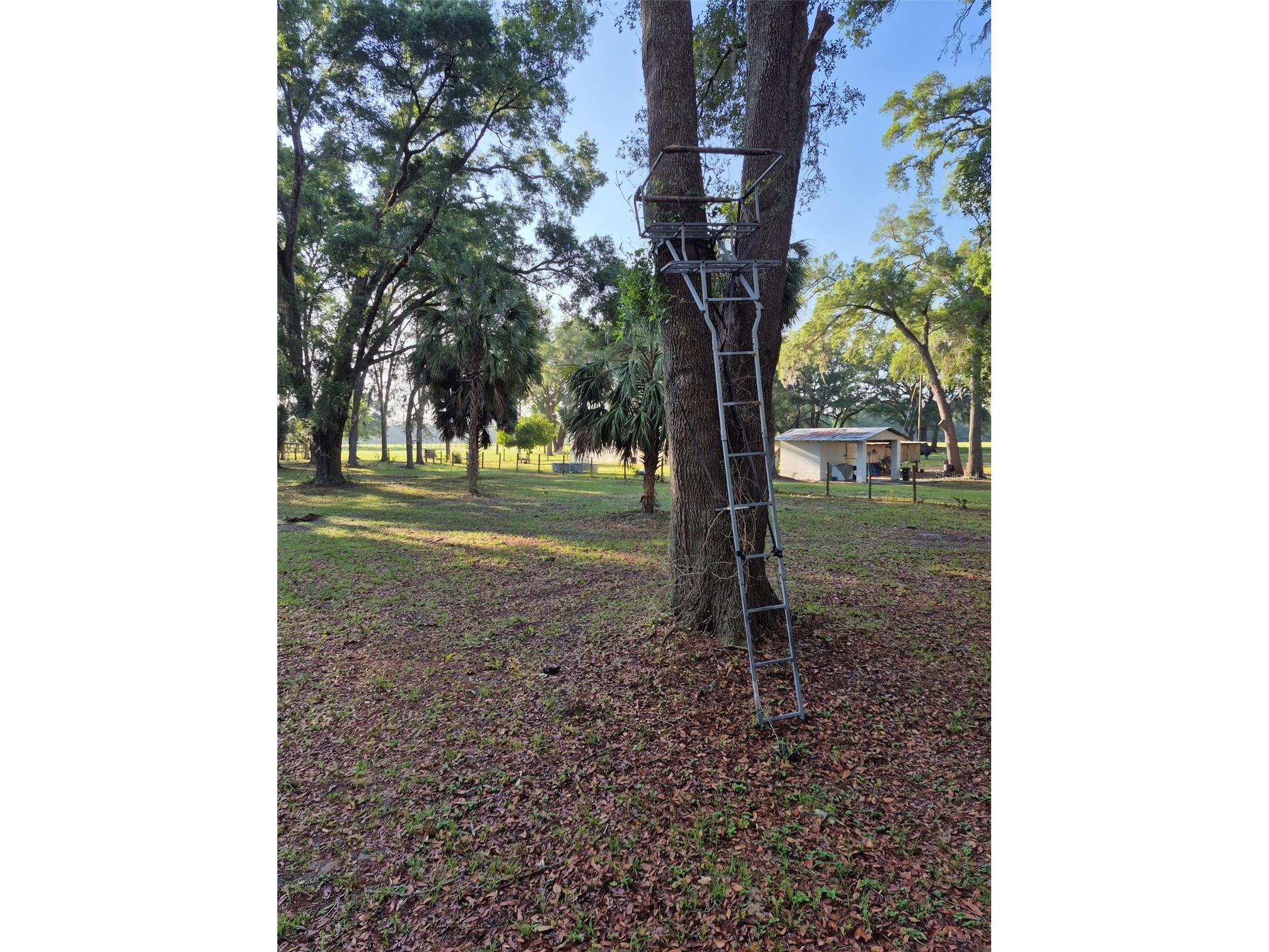 4351 NW 76th Court Chiefland FL 32626 GC538479 image19