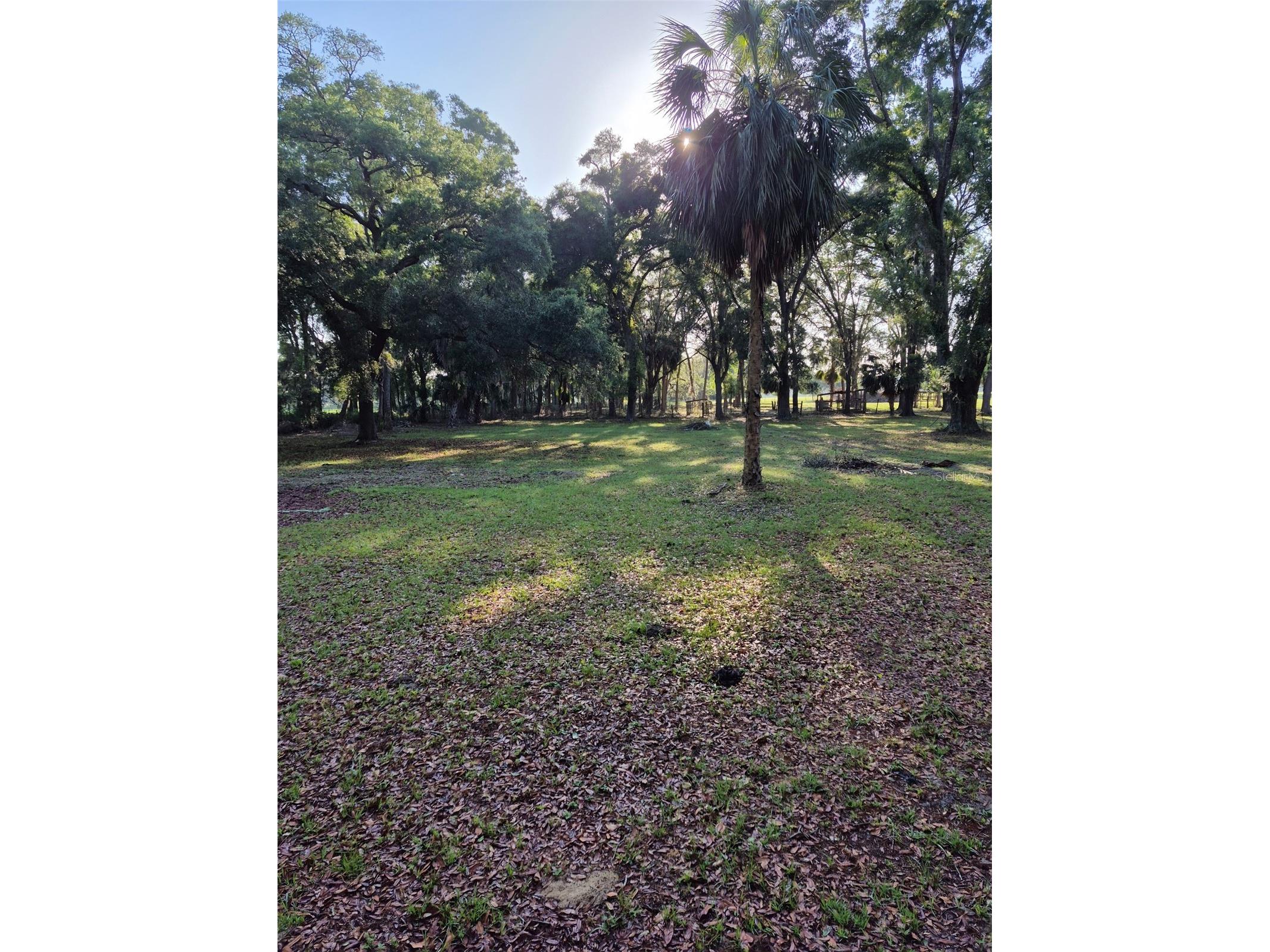 4351 NW 76th Court Chiefland FL 32626 GC538479 image20