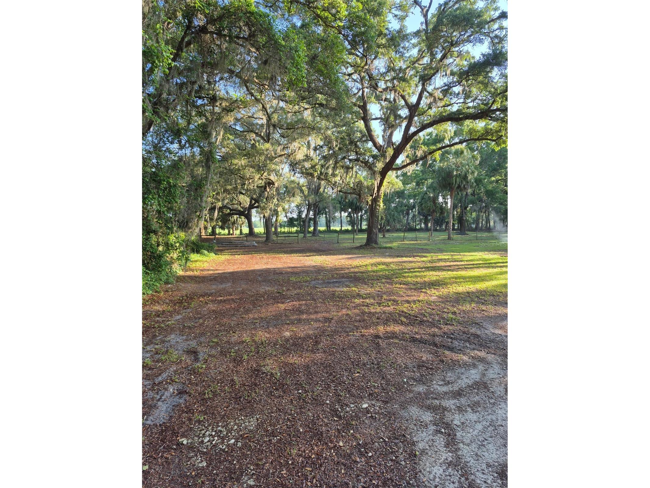 4351 NW 76th Court Chiefland FL 32626 GC538479 image21