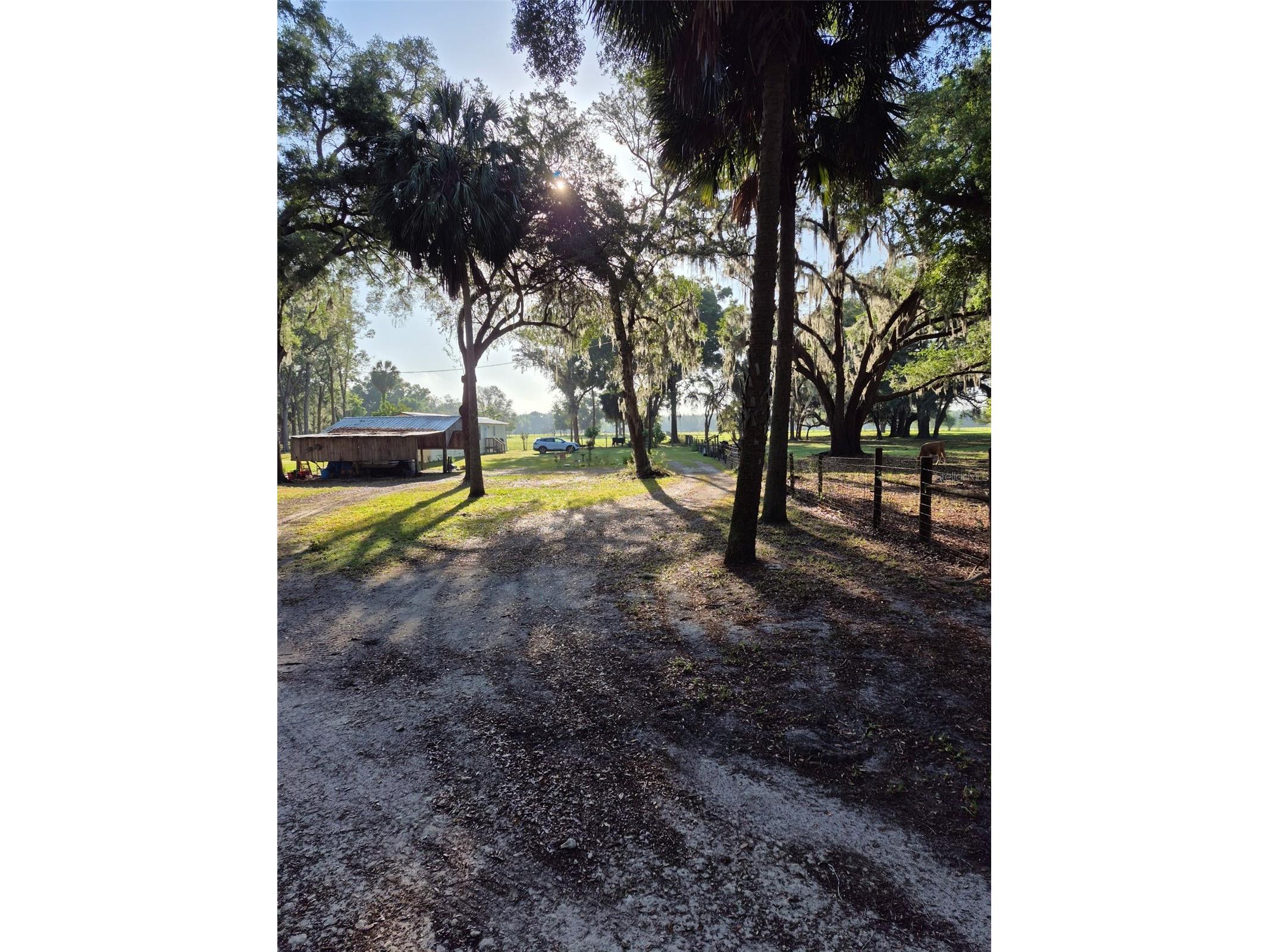 4351 NW 76th Court Chiefland FL 32626 GC538479 image22