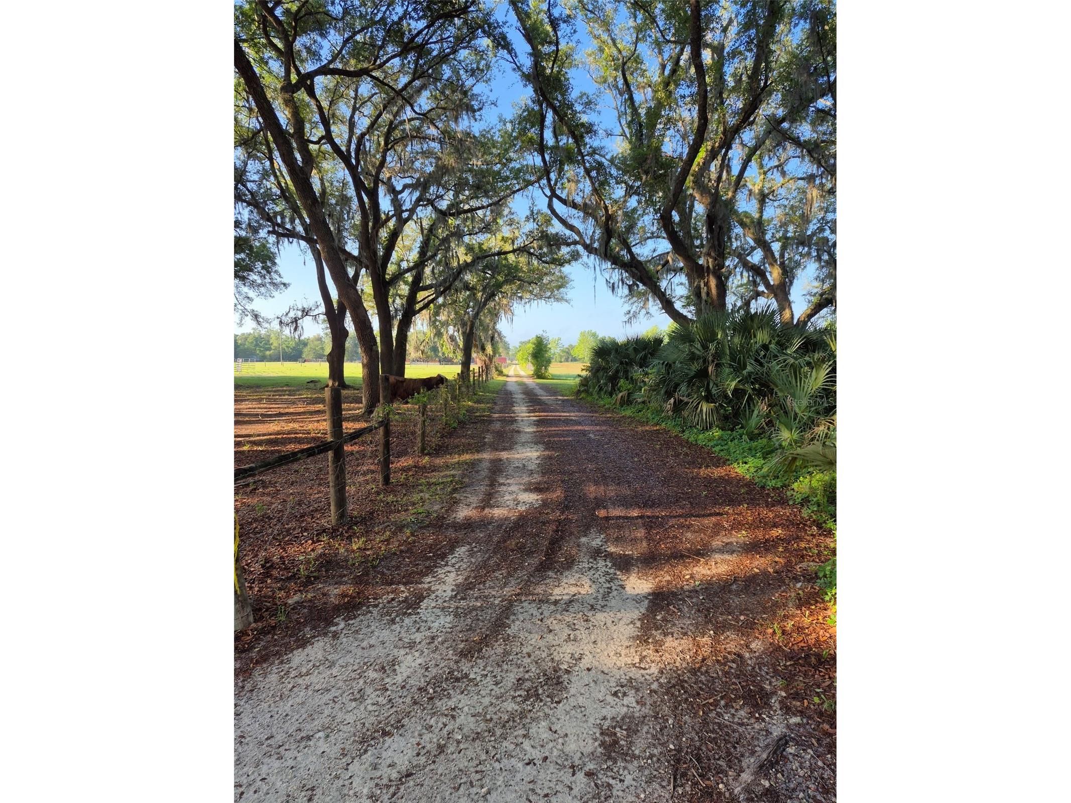 4351 NW 76th Court Chiefland FL 32626 GC538479 image23