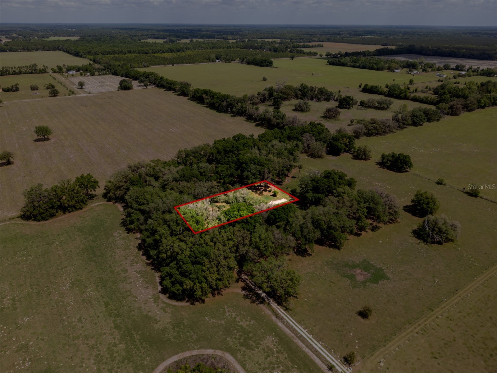 4351 NW 76th Court Chiefland FL 32626 GC538479 image26