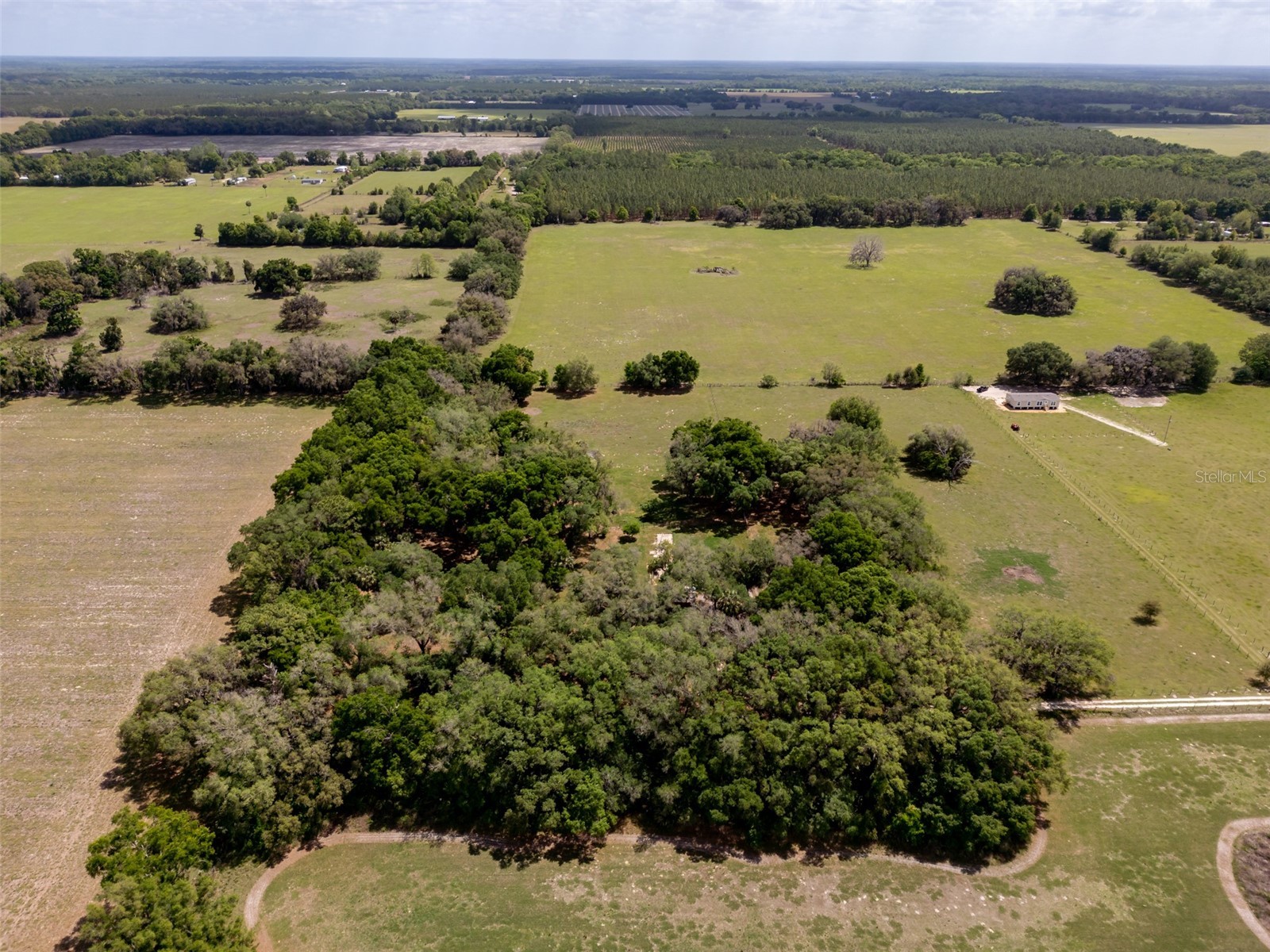 4351 NW 76th Court Chiefland FL 32626 GC538479 image27