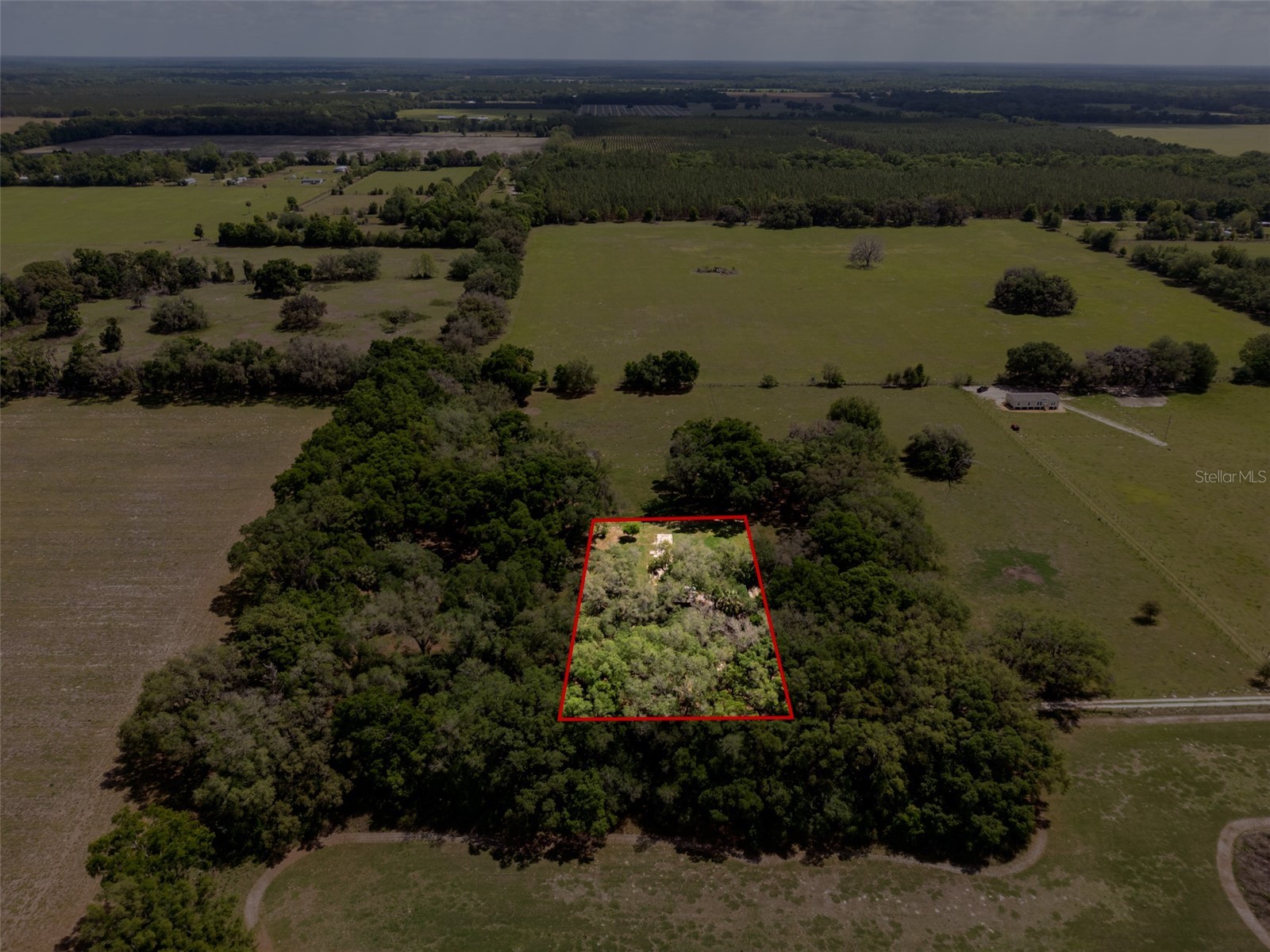 4351 NW 76th Court Chiefland FL 32626 GC538479 image28