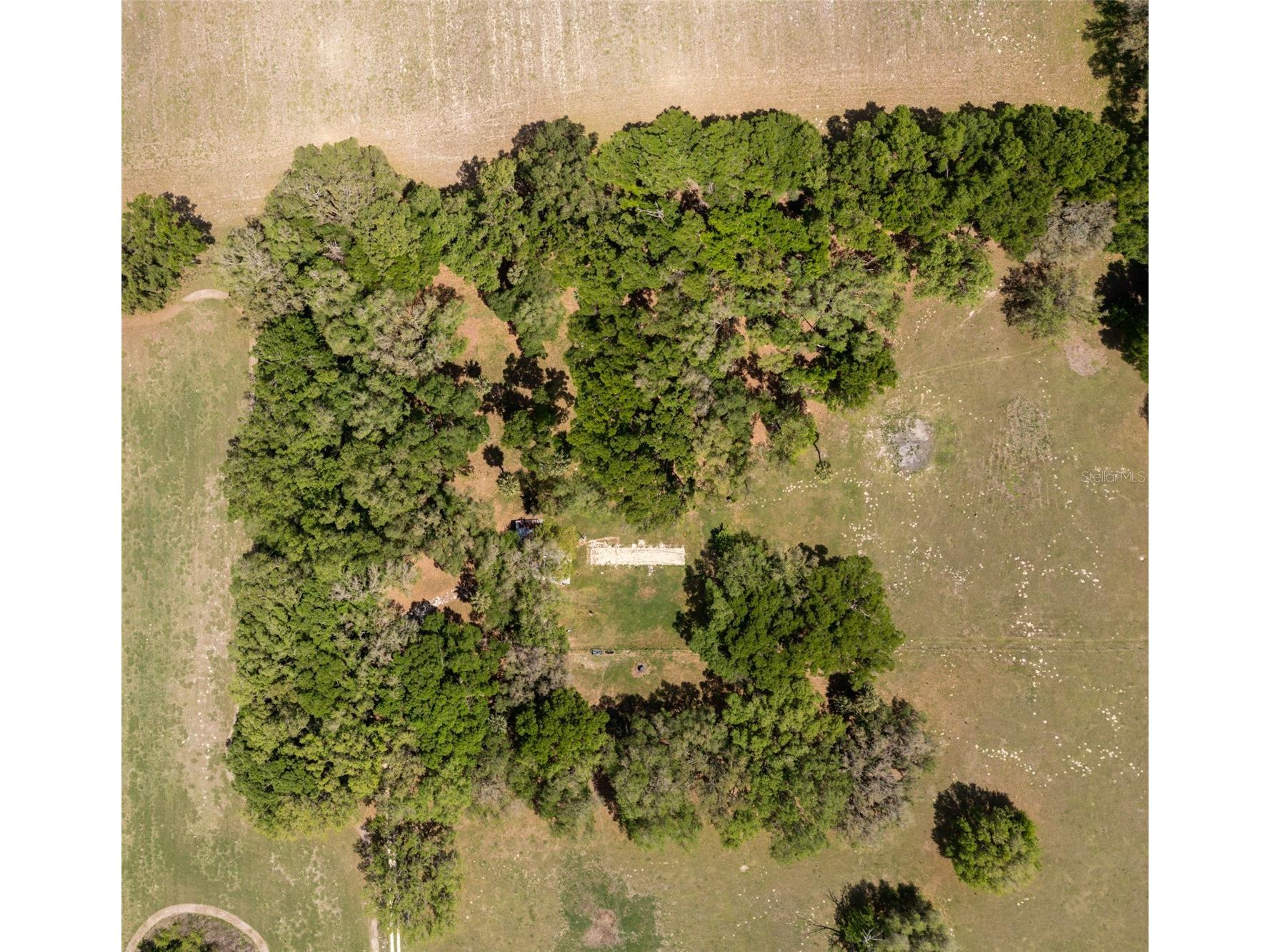 4351 NW 76th Court Chiefland FL 32626 GC538479 image29