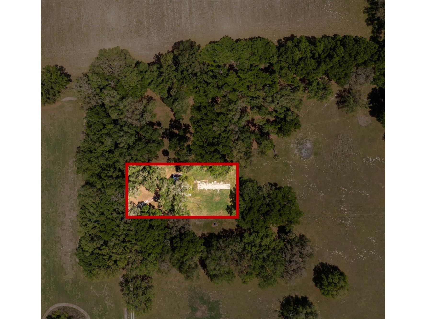 4351 NW 76th Court Chiefland FL 32626 GC538479 image30