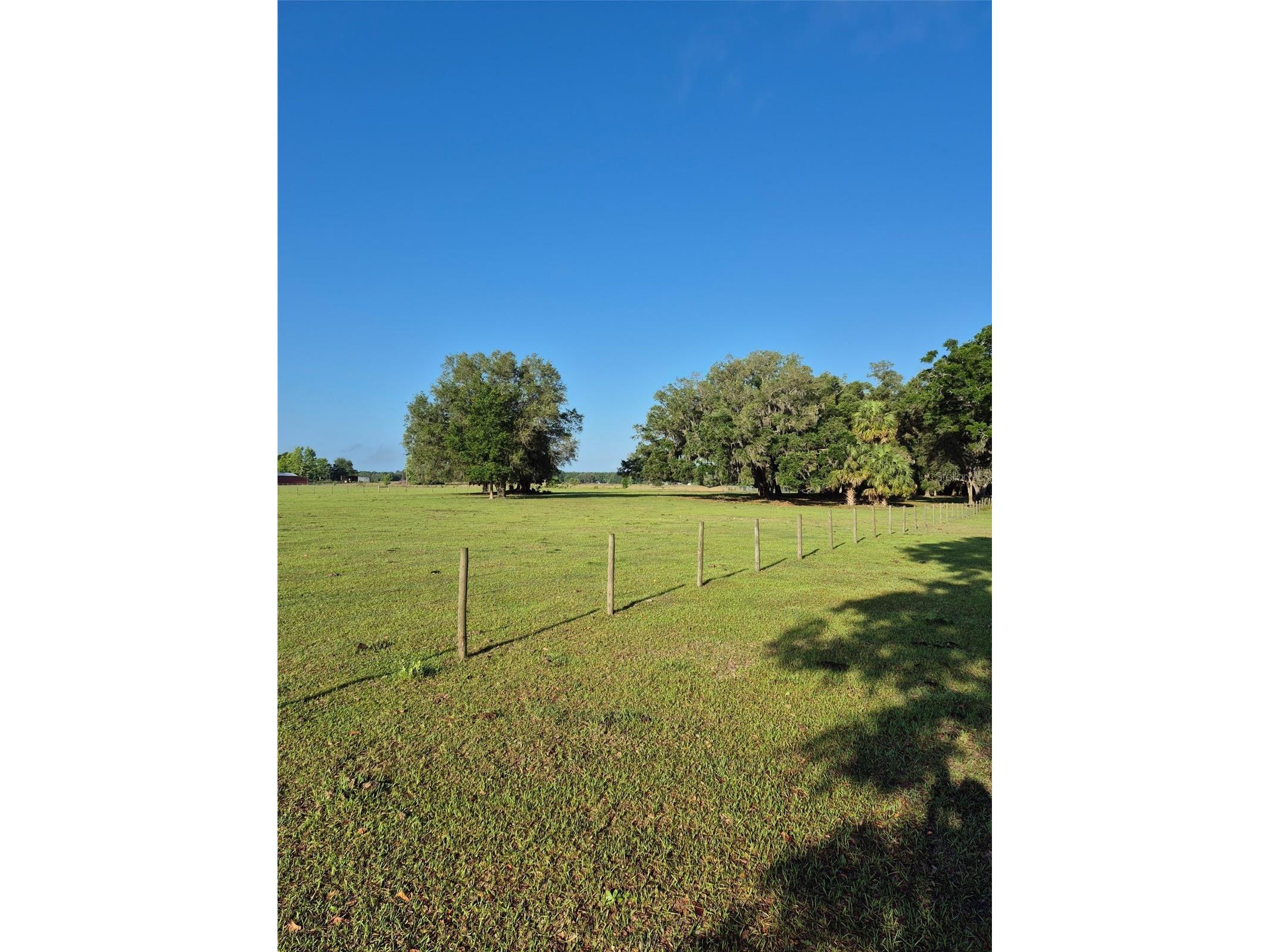 4351 NW 76th Court Chiefland FL 32626 GC538479 image7