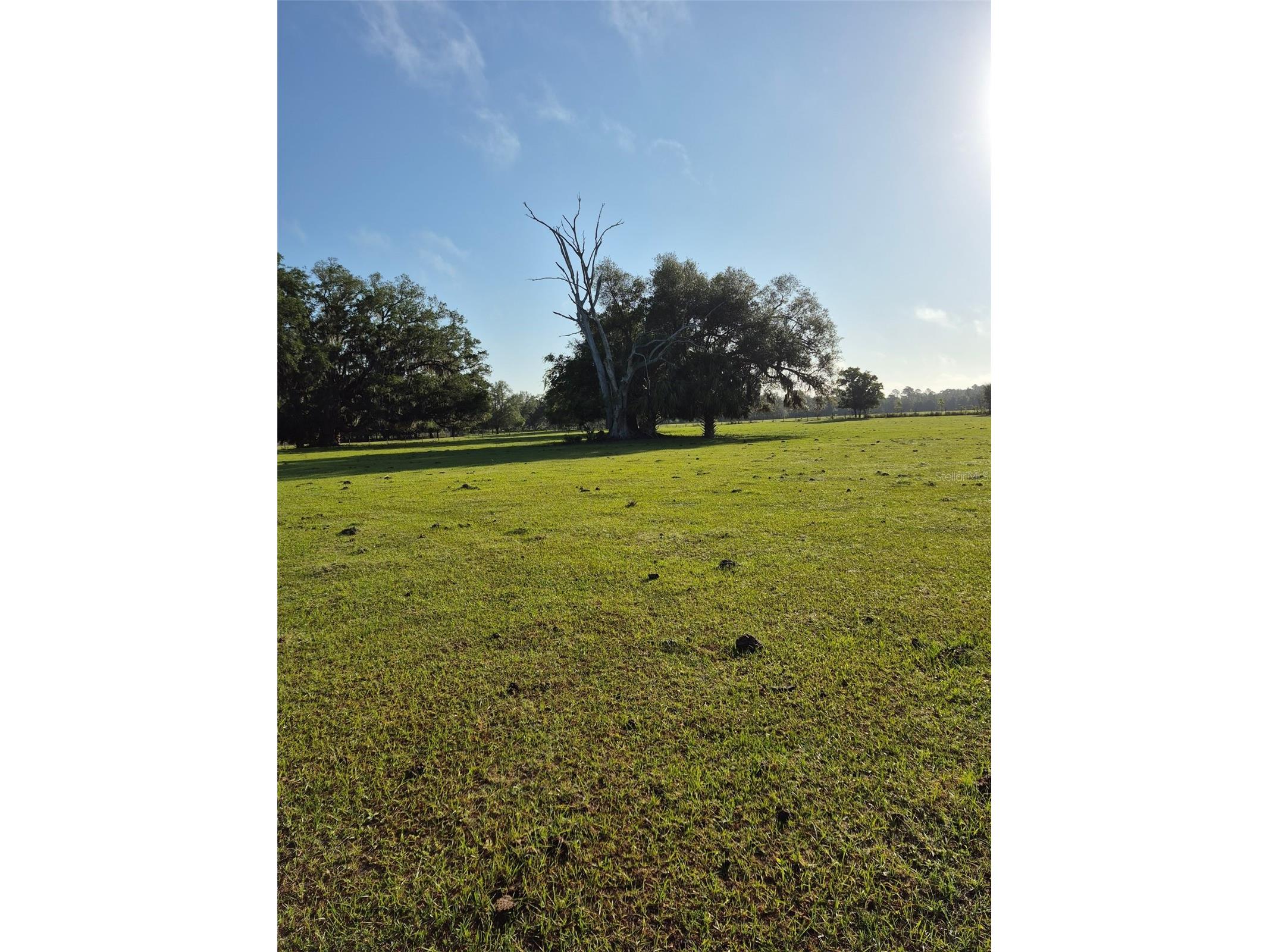 4351 NW 76th Court Chiefland FL 32626 GC538479 image8